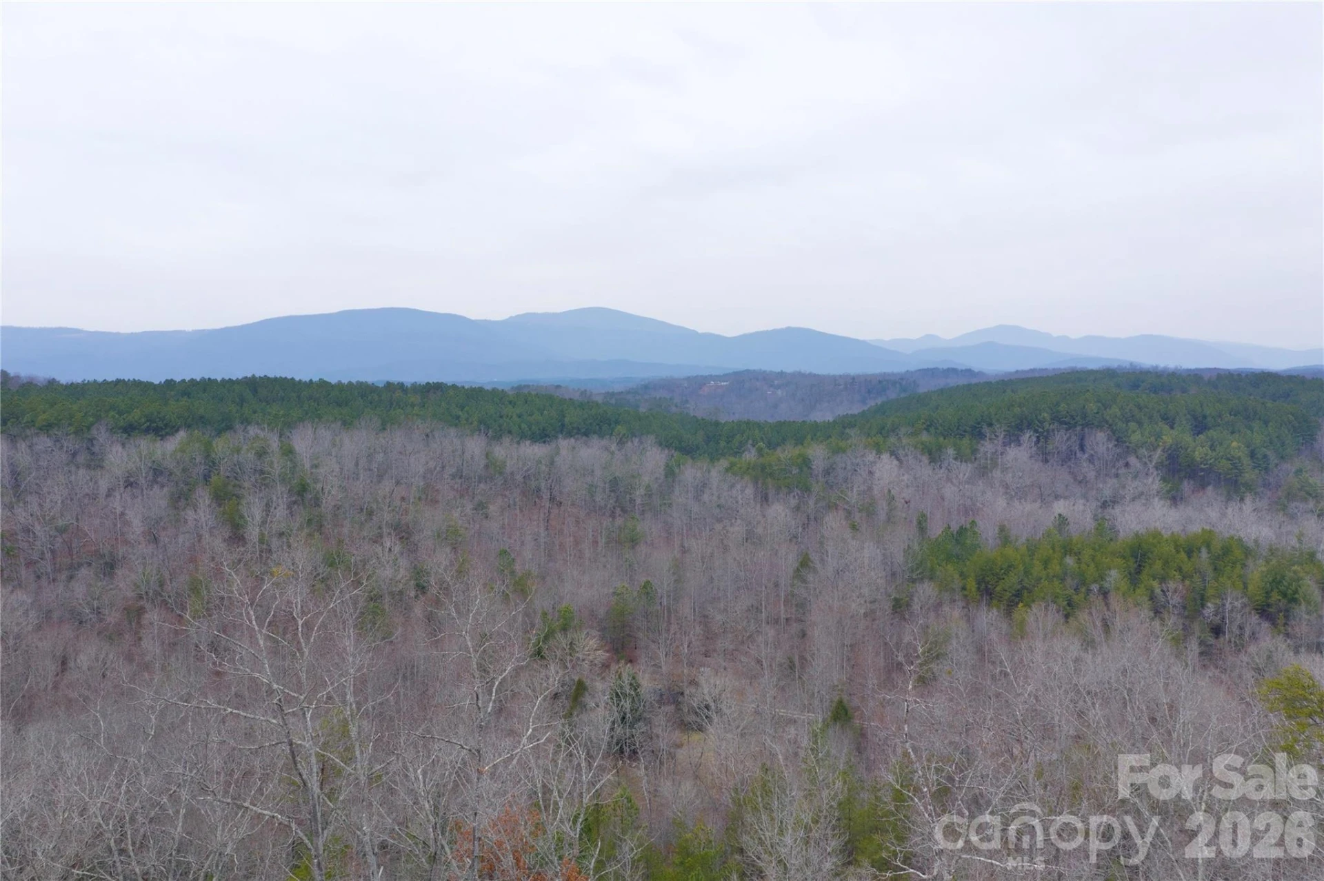 1140 Hwy 9 Highway - Photo 3