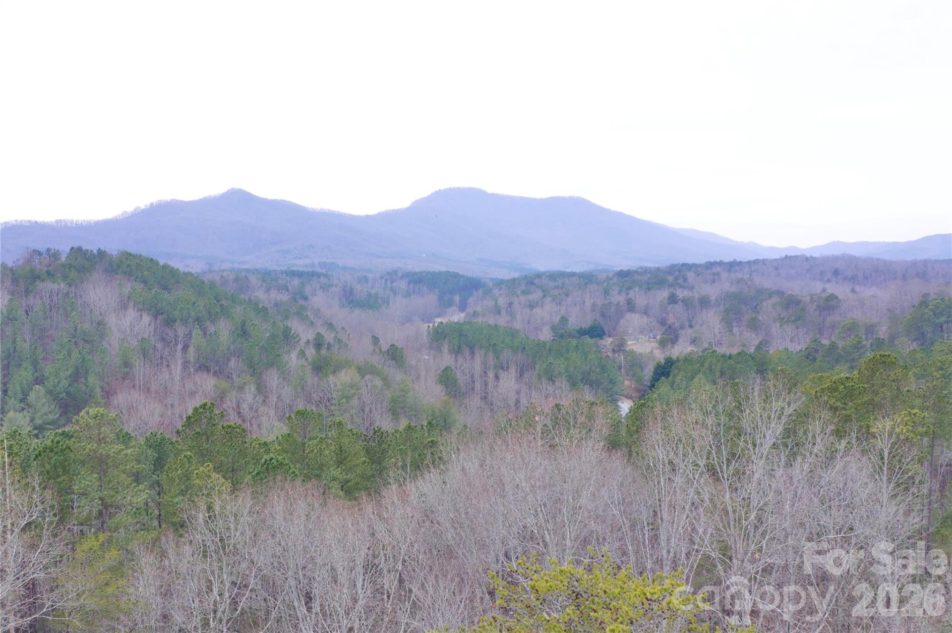 1140 Hwy 9 Highway - Photo 5