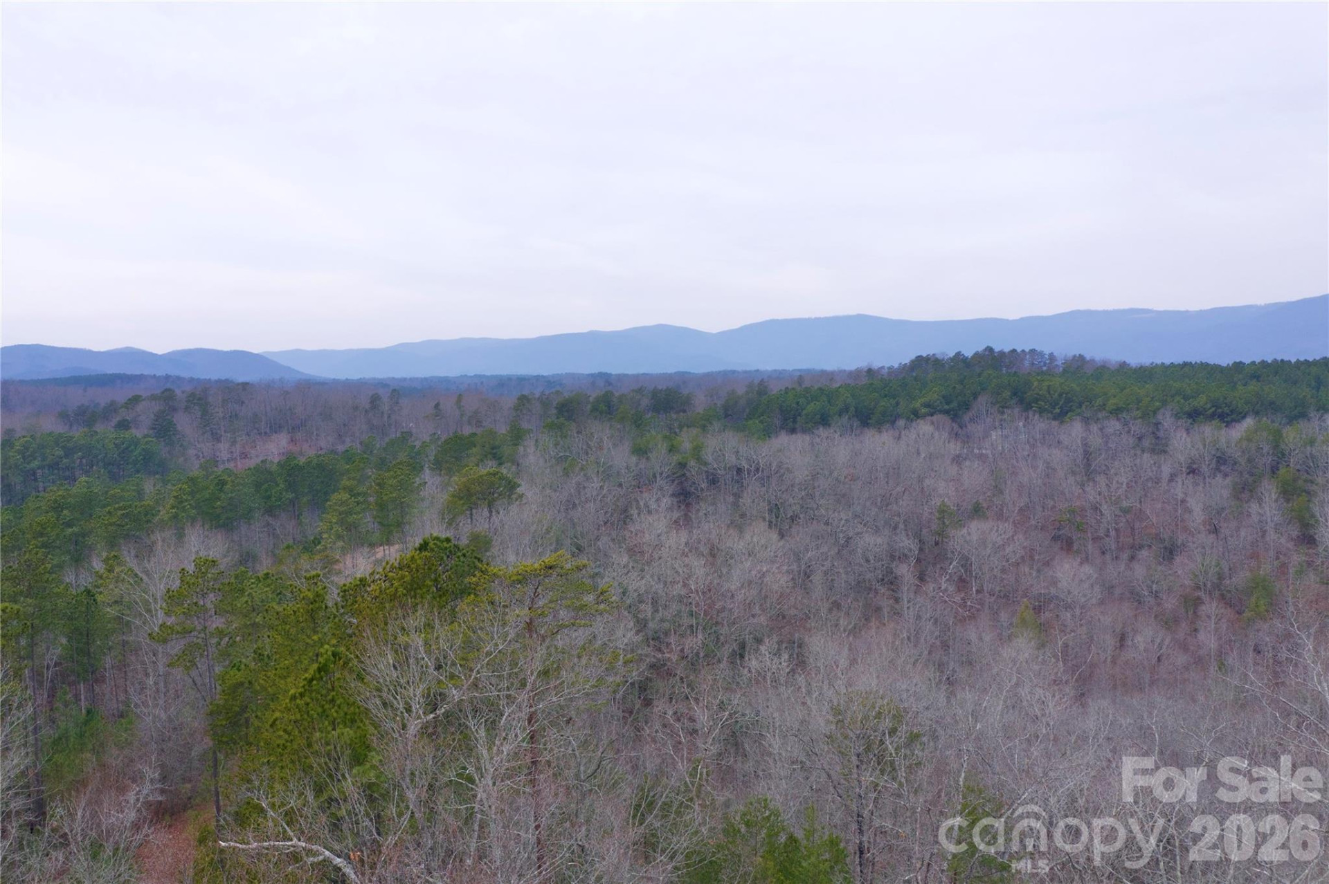 1140 Hwy 9 Highway - Photo 6