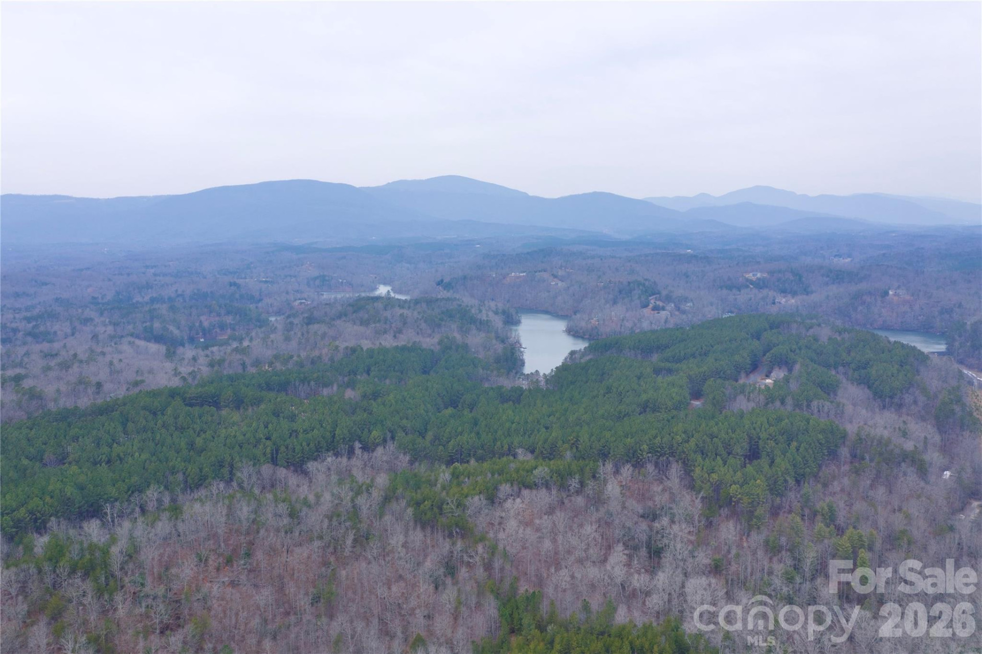 1140 Hwy 9 Highway - Photo 8