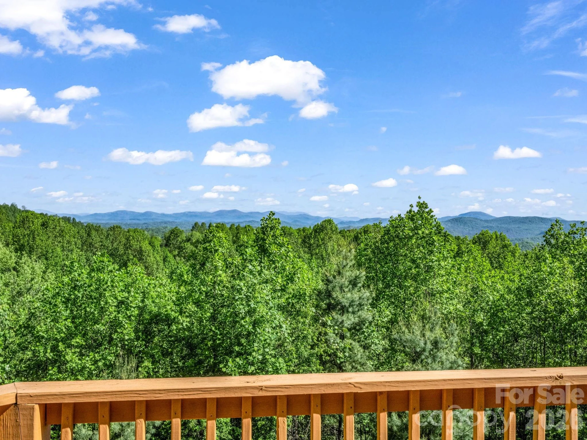 603 Pace Mountain Road - Photo 13
