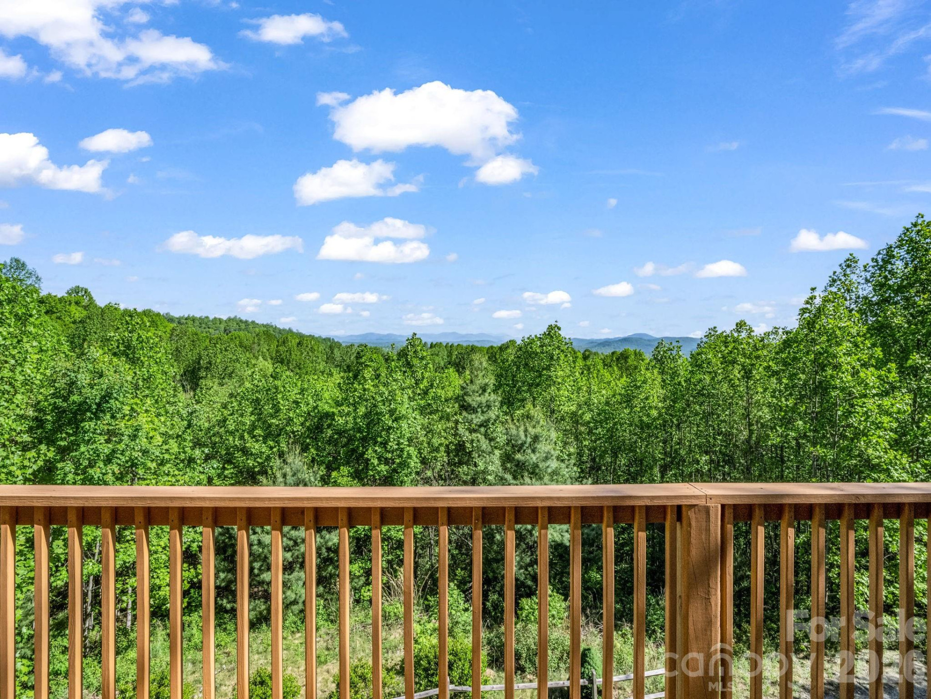 603 Pace Mountain Road - Photo 14