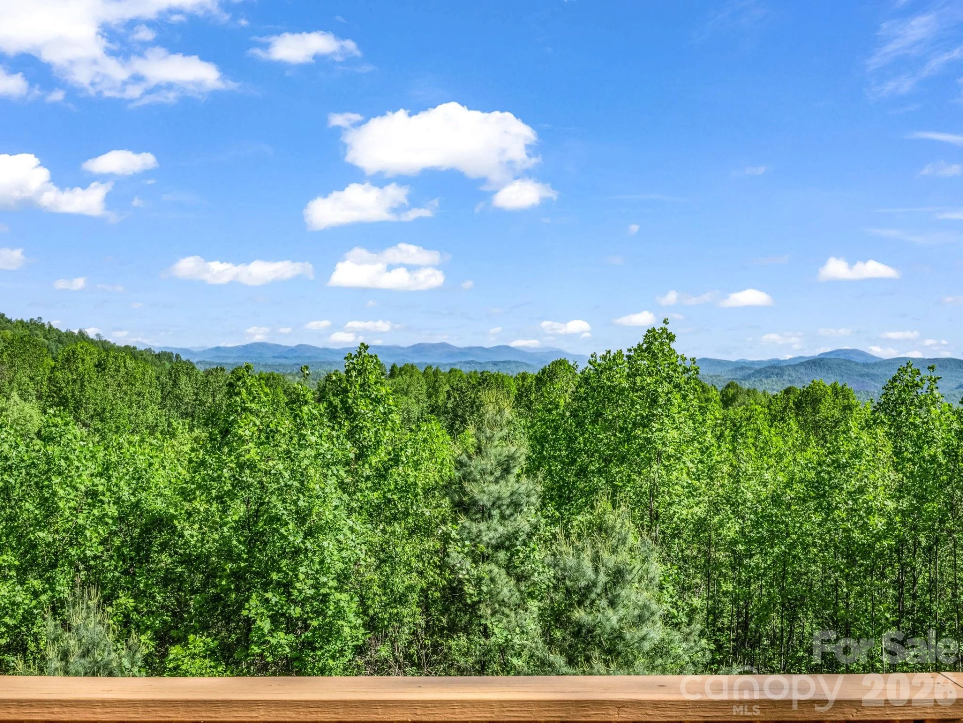 603 Pace Mountain Road - Photo 15