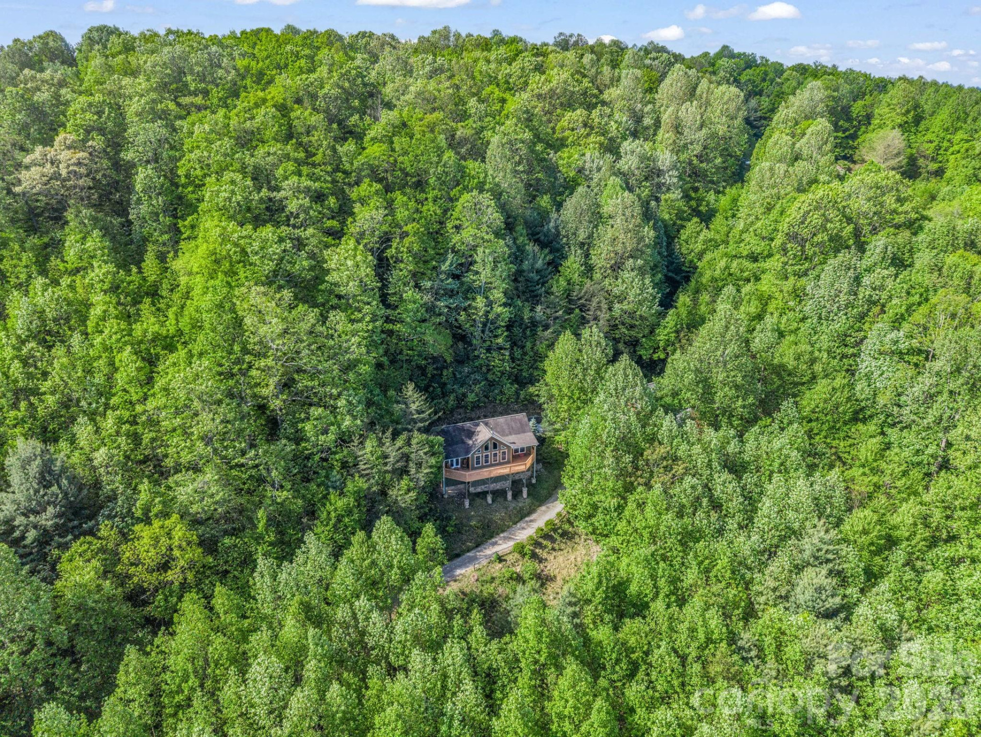 603 Pace Mountain Road - Photo 34