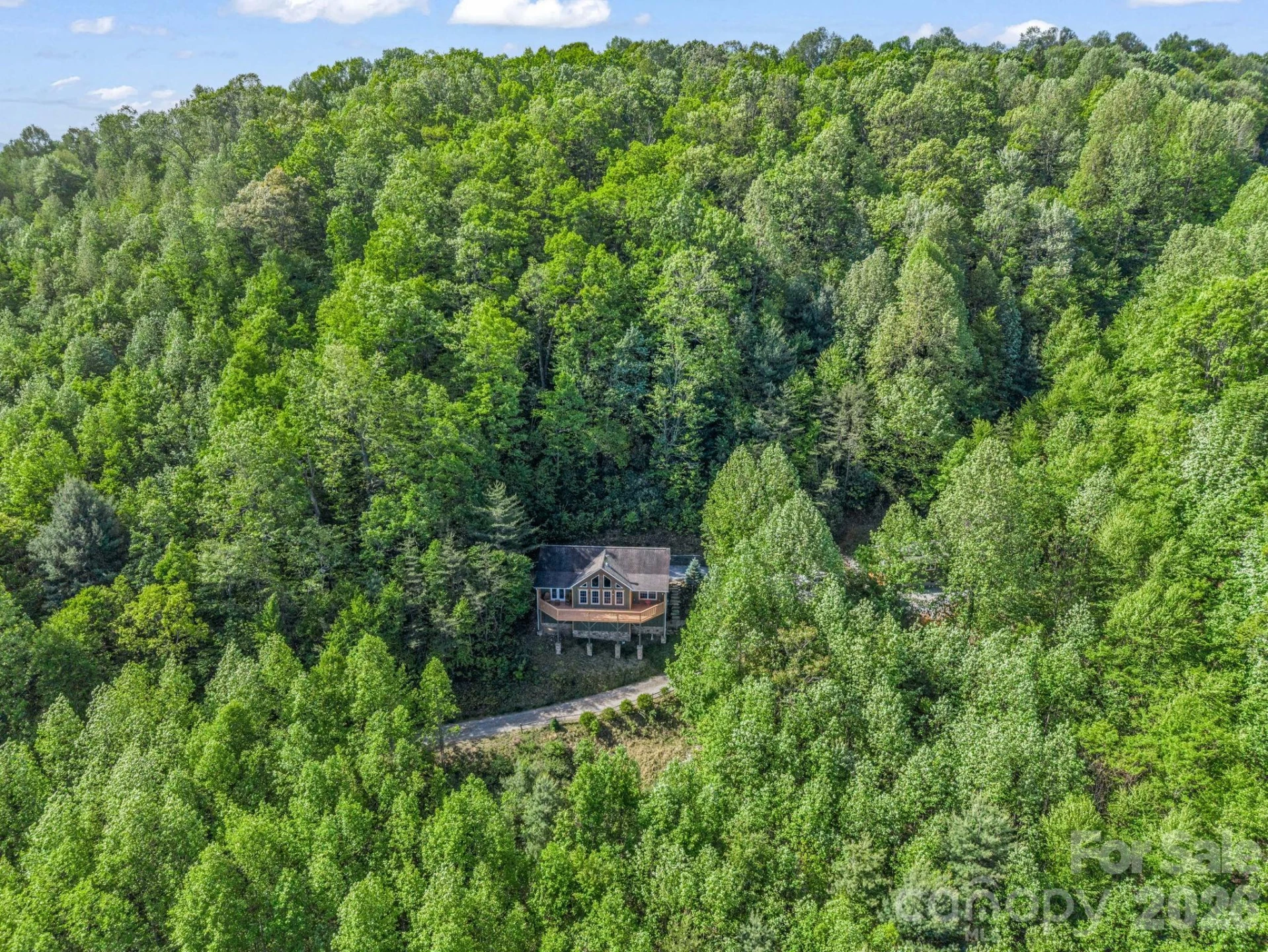 603 Pace Mountain Road - Photo 35
