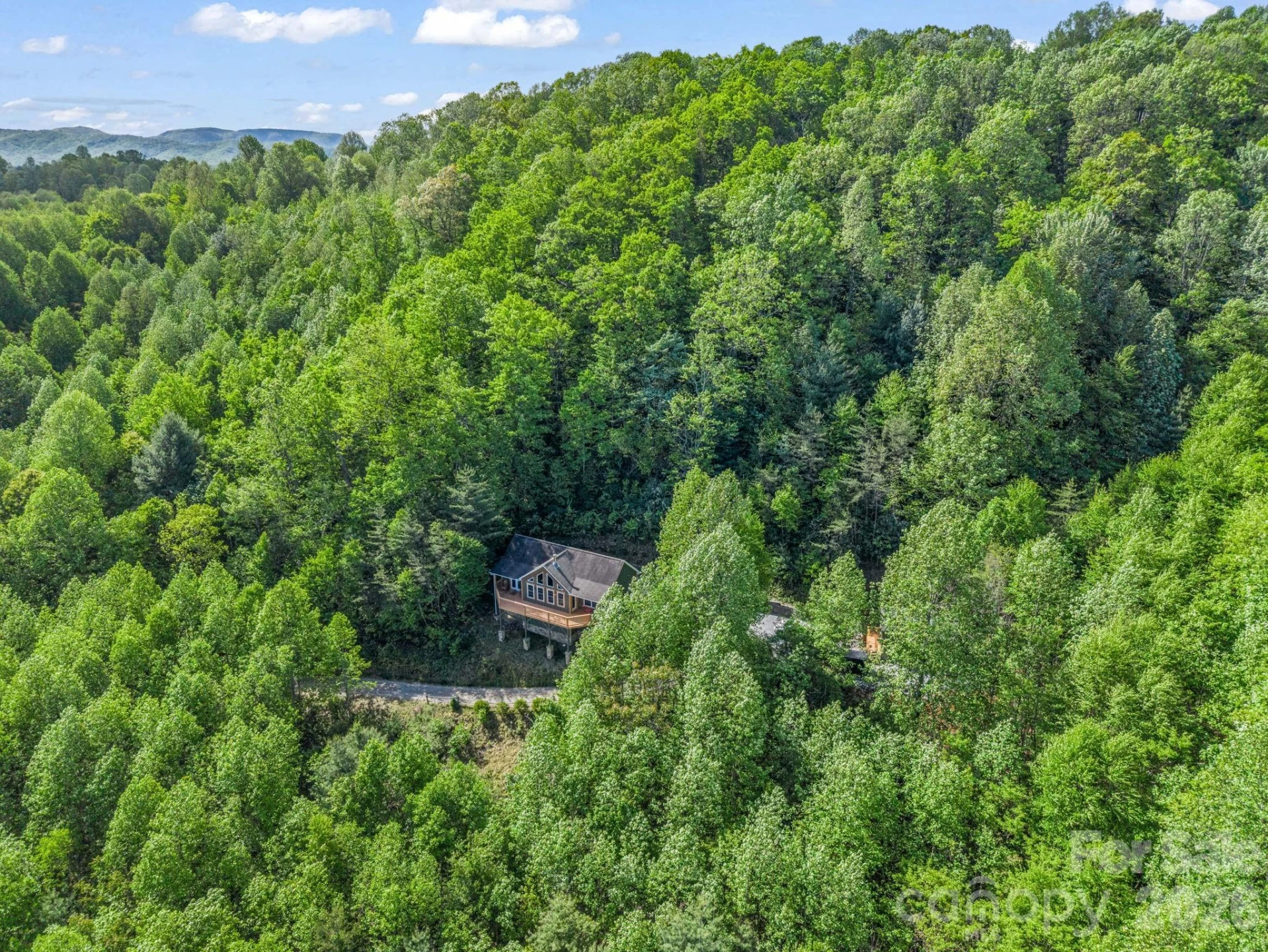 603 Pace Mountain Road - Photo 36