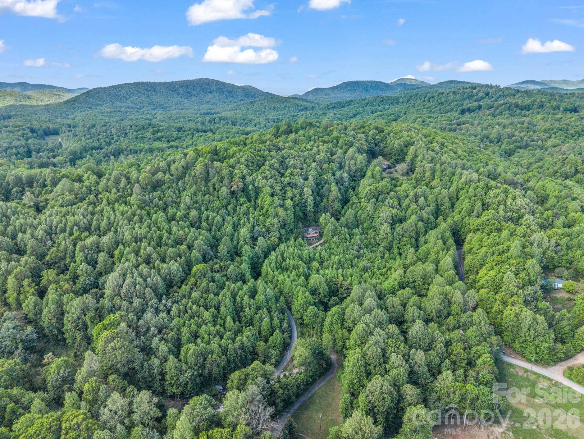 603 Pace Mountain Road - Photo 40