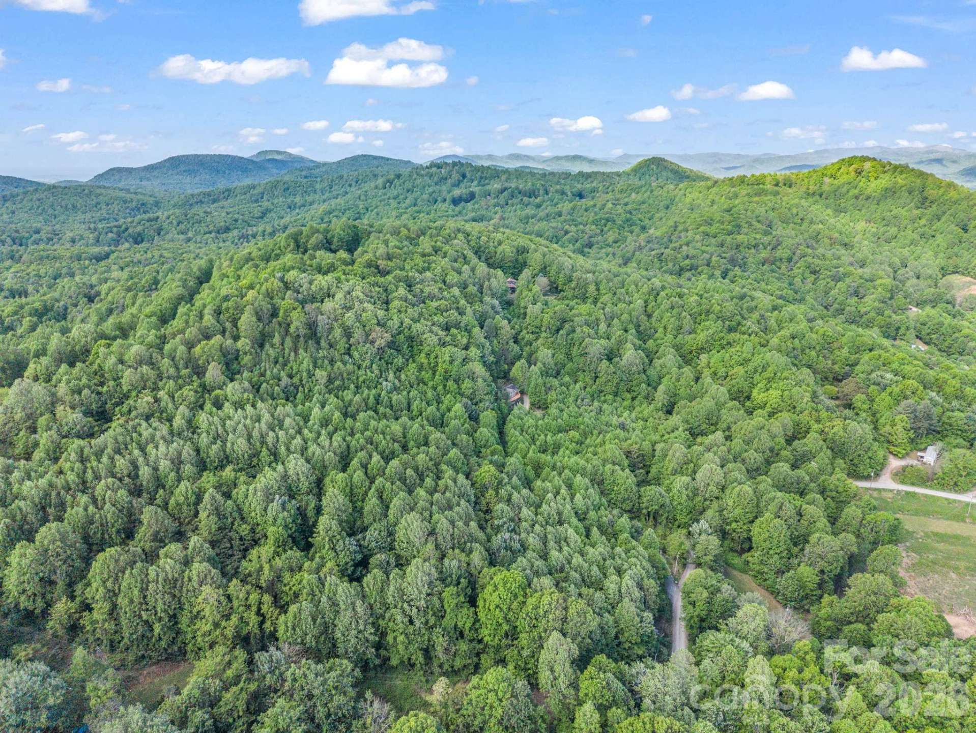 603 Pace Mountain Road - Photo 41