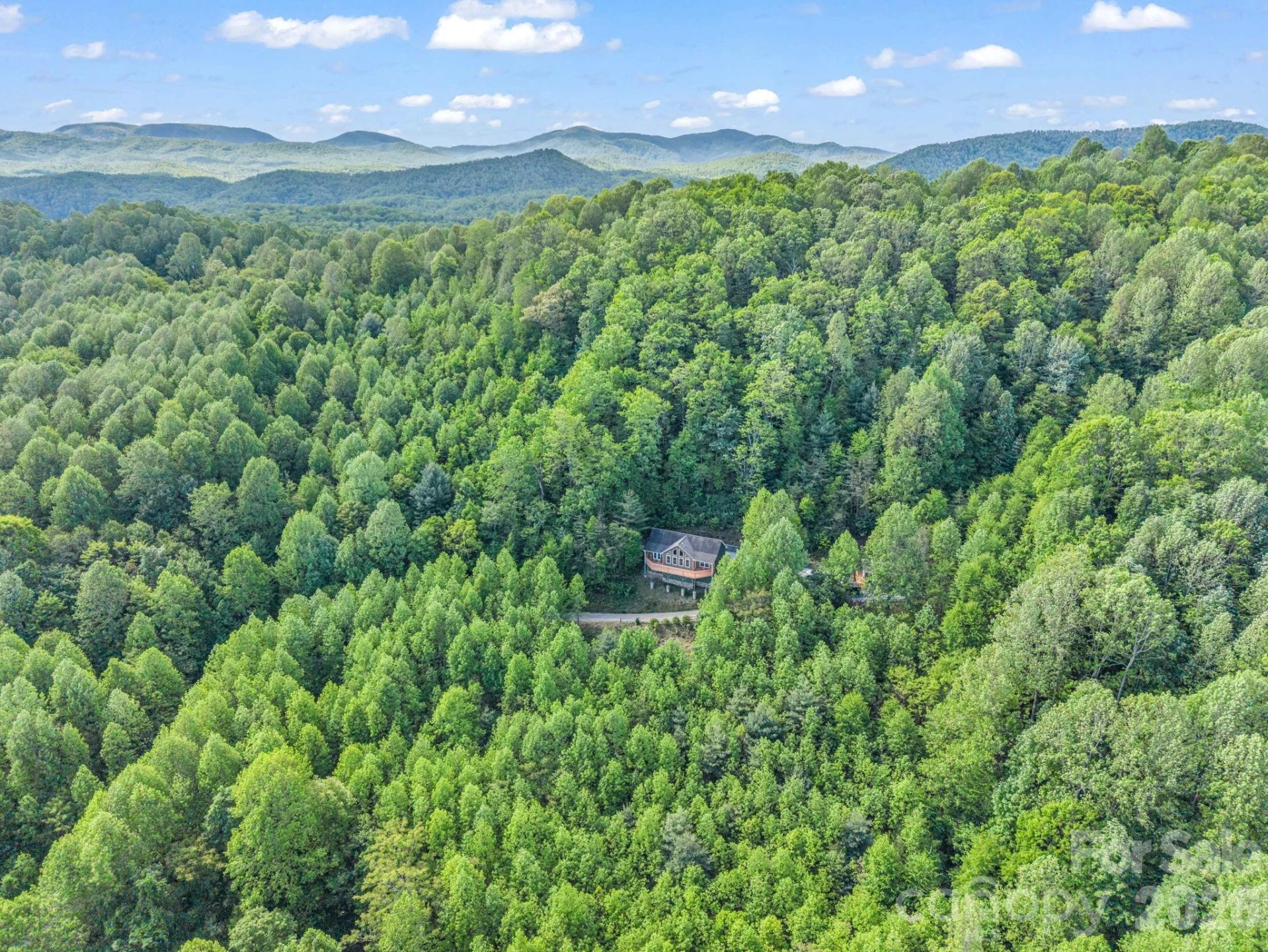 603 Pace Mountain Road - Photo 42