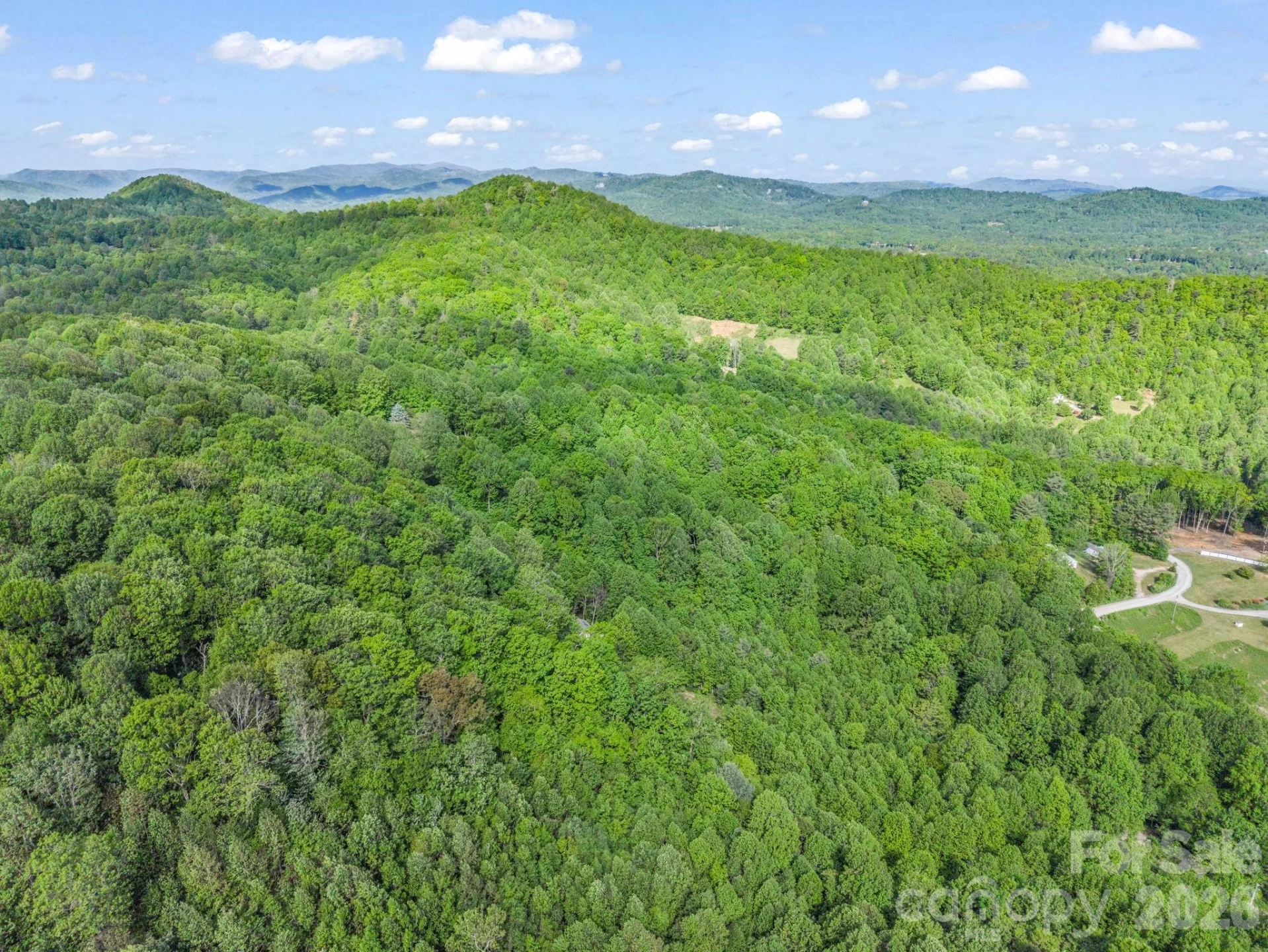 603 Pace Mountain Road - Photo 44