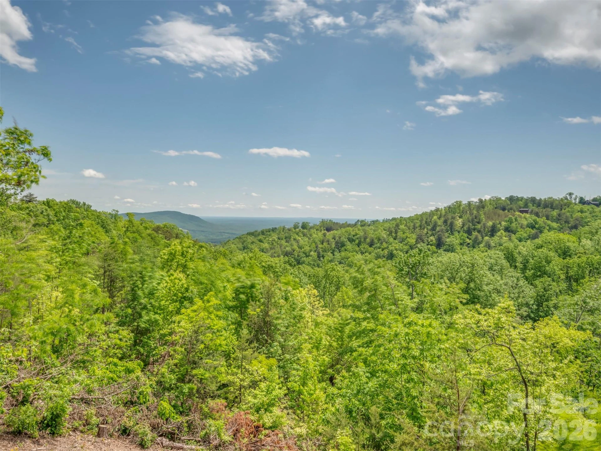 202 Fall Creek Drive - Photo 12