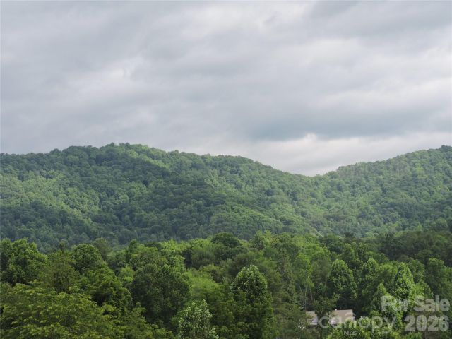 60 Gins Lane, Mars Hill, NC, 28754