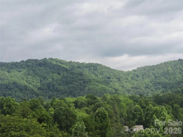 60 Gins Lane, Mars Hill, NC, 28754