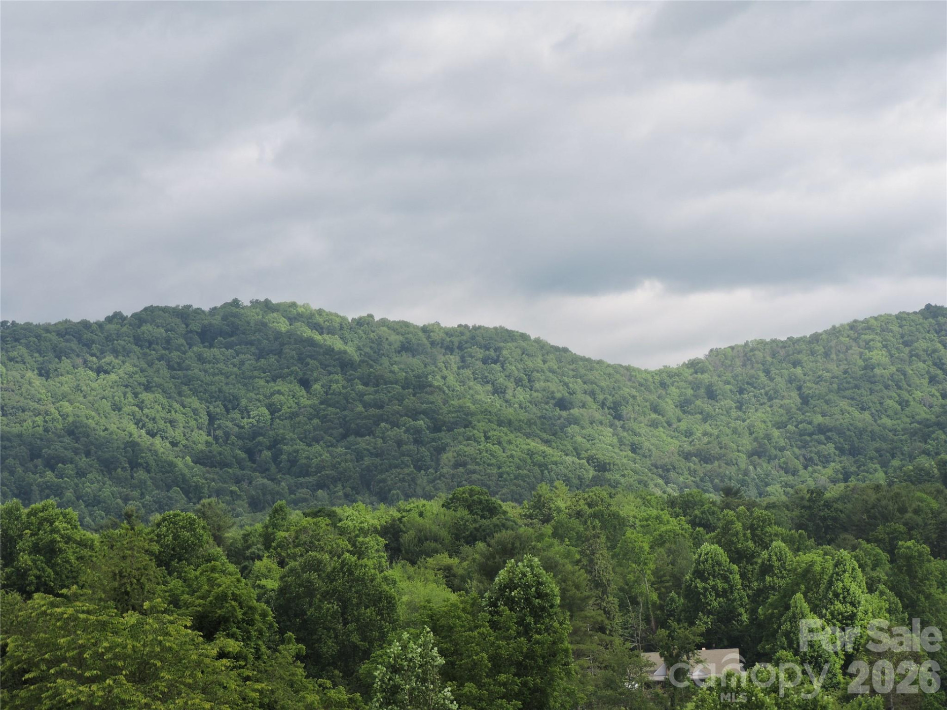 60 Gins Lane #lot 11