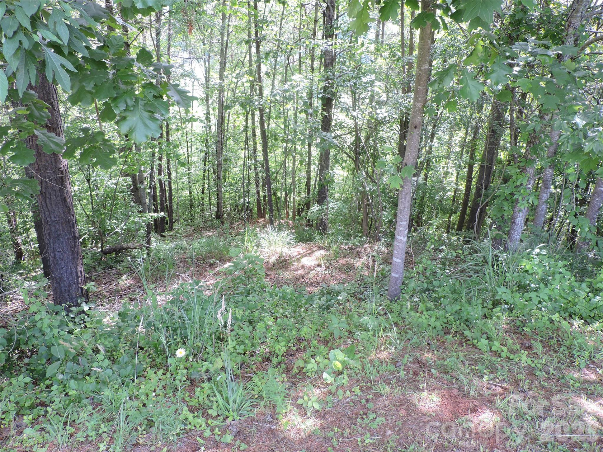 60 Gins Lane #lot 11 - Photo 7