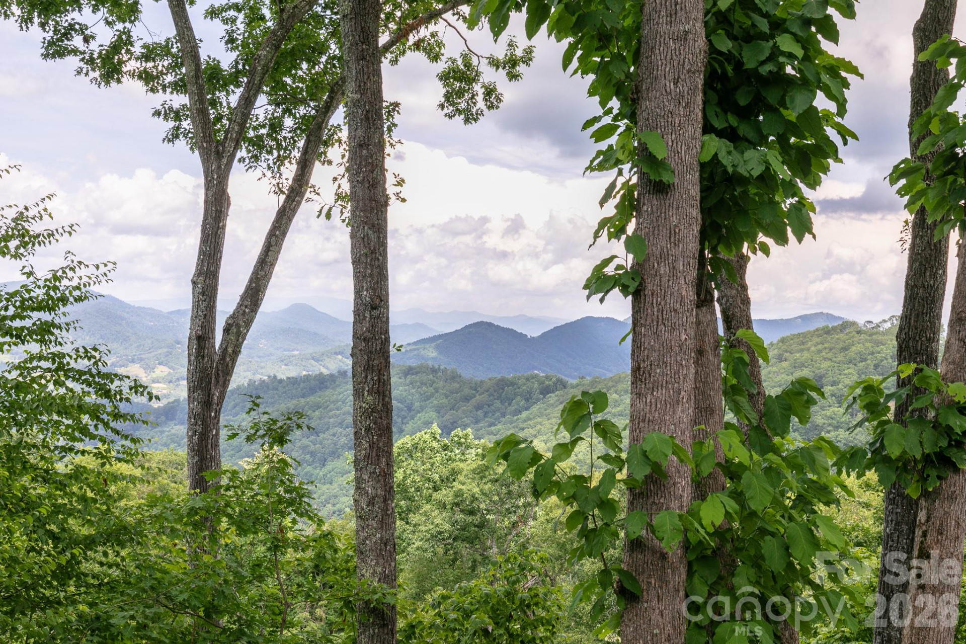 456 Spring House Drive - Photo 2