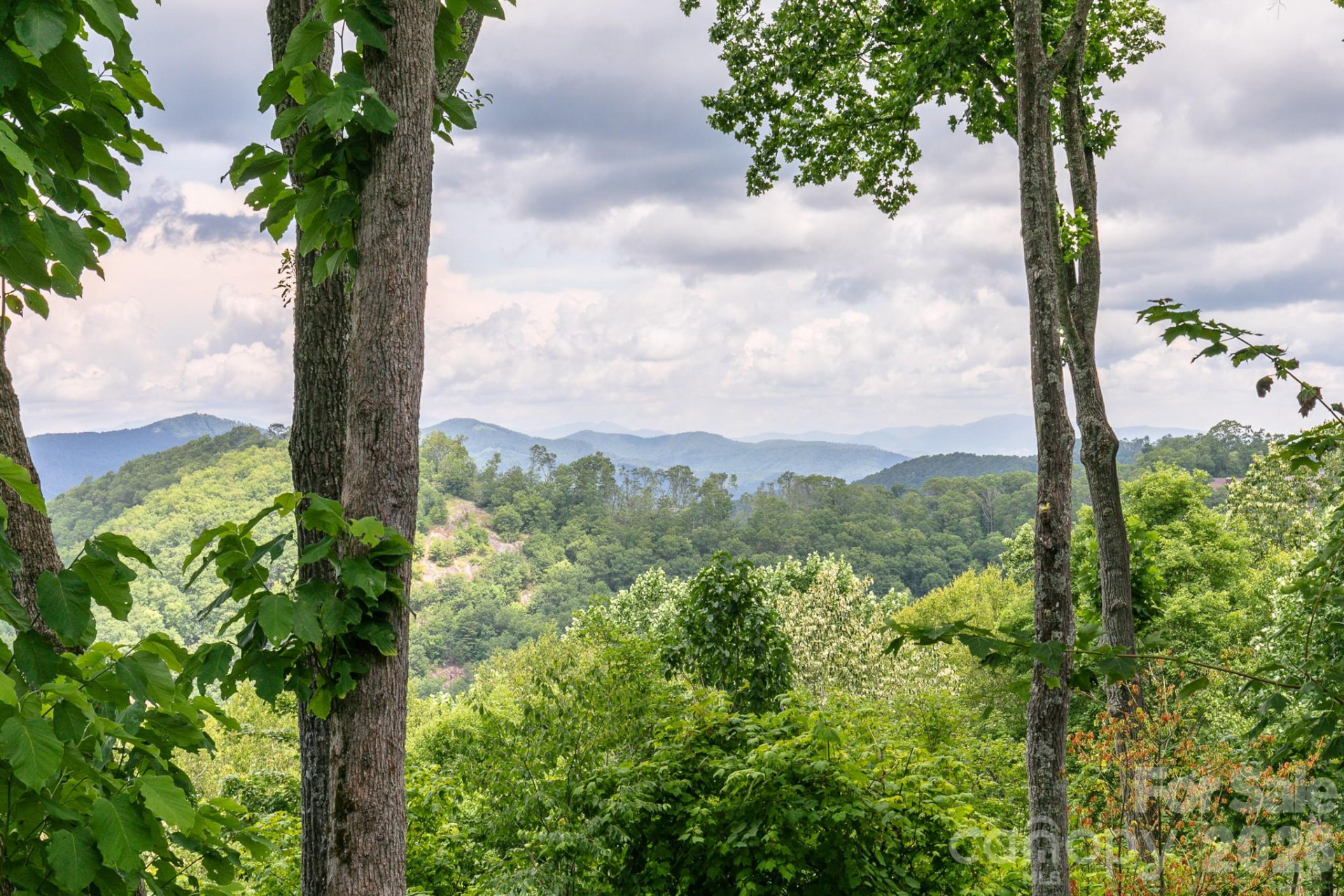 456 Spring House Drive - Photo 16