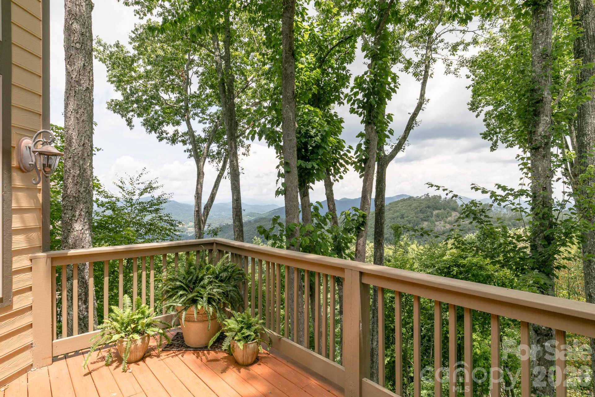 456 Spring House Drive - Photo 18