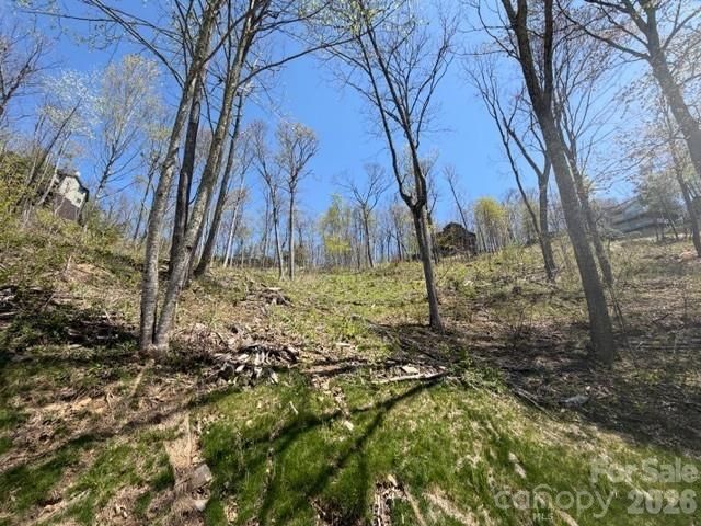 20 Cliff's Edge Drive, Burnsville, NC, 28714