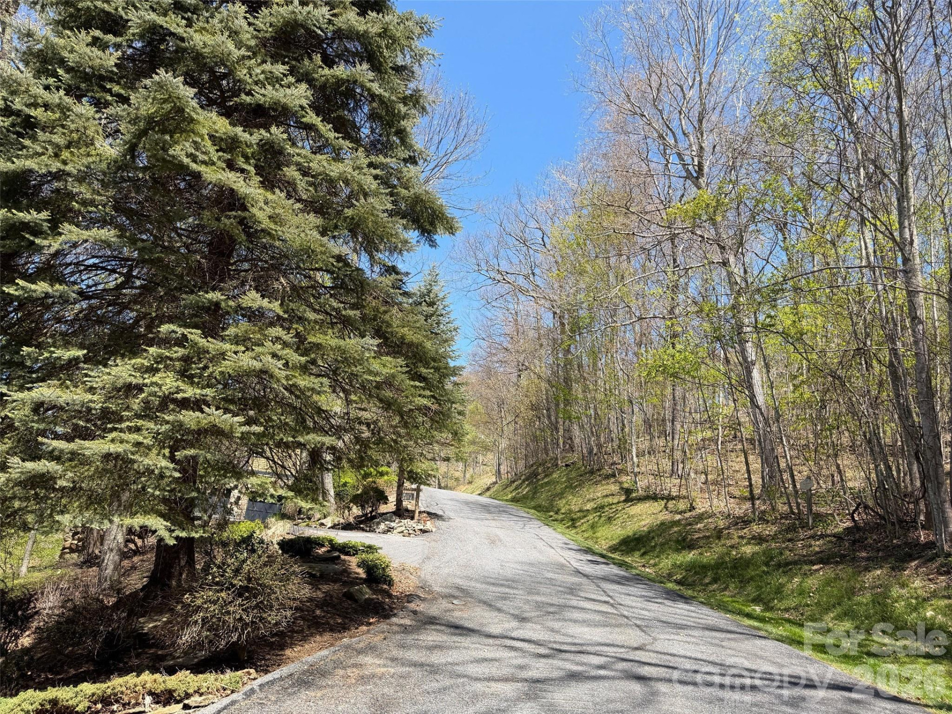 20 Cliff's Edge Drive - Photo 2