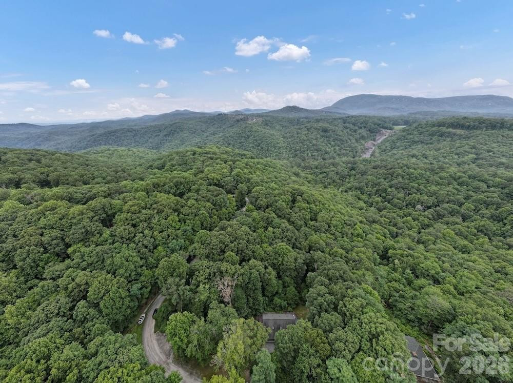178 Whetstone Gap Road - Photo 29
