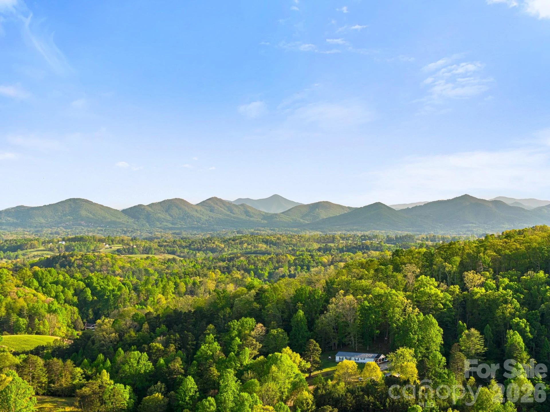 40 Firefly Ridge Trail - Photo 45
