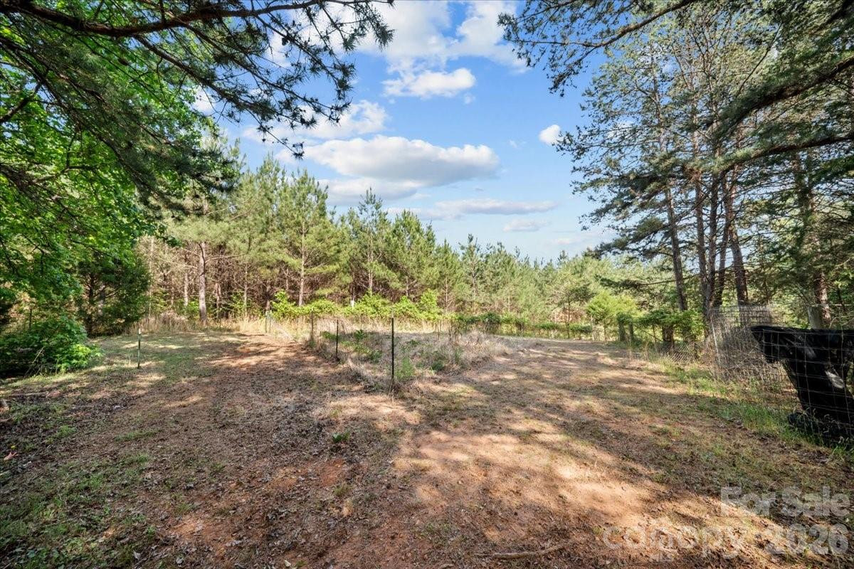 6440 Bostic Sunshine Highway - Photo 19