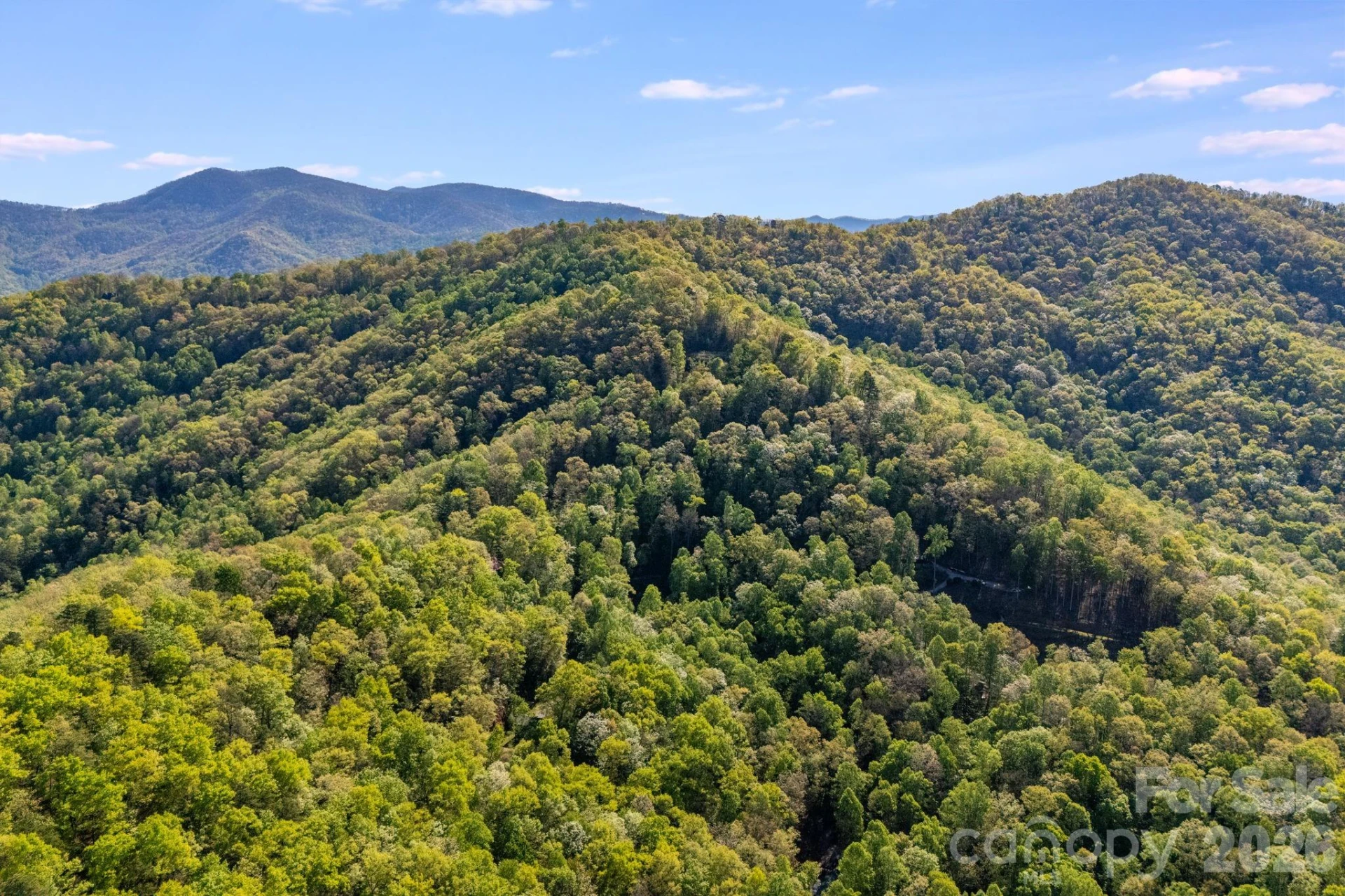 785 Laurel Spring Drive - Photo 11