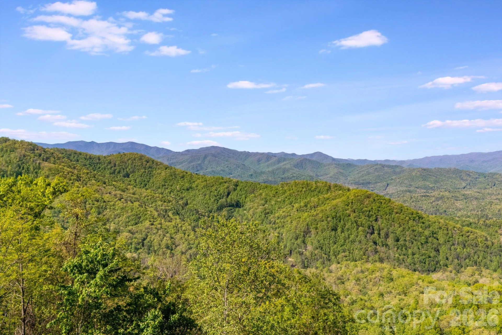 785 Laurel Spring Drive - Photo 12