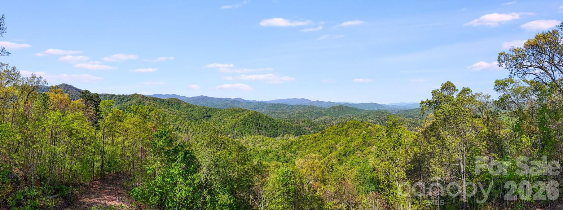 785 Laurel Spring Drive - Photo 13