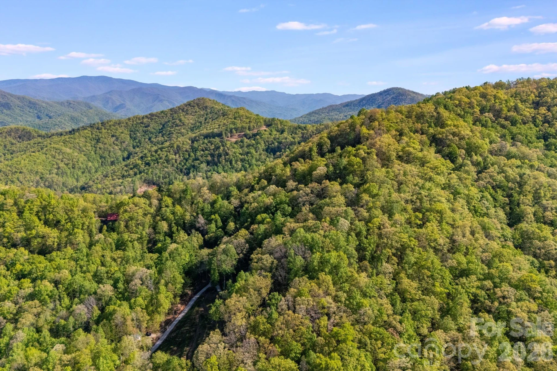 785 Laurel Spring Drive - Photo 9