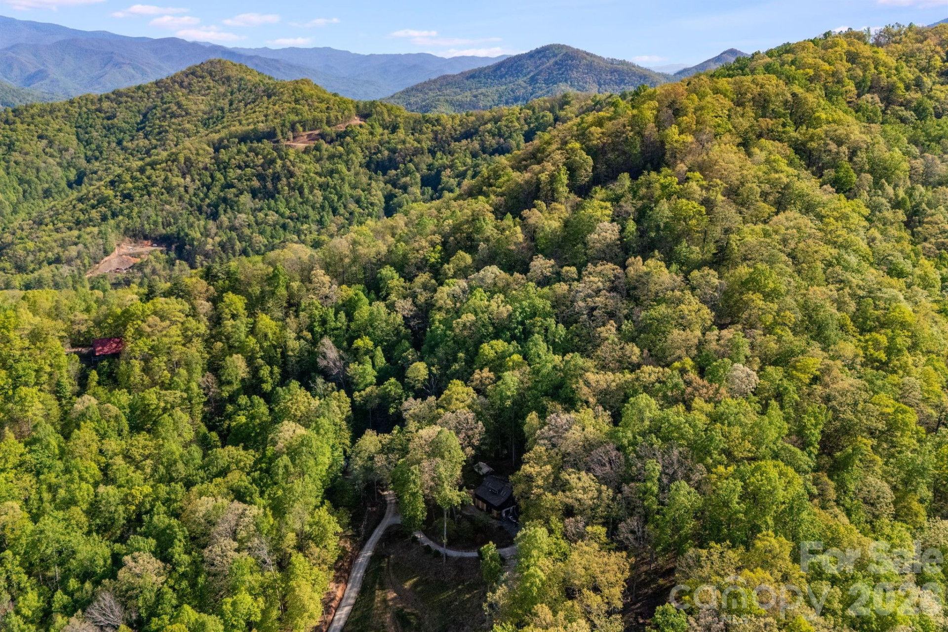 785 Laurel Spring Drive - Photo 10