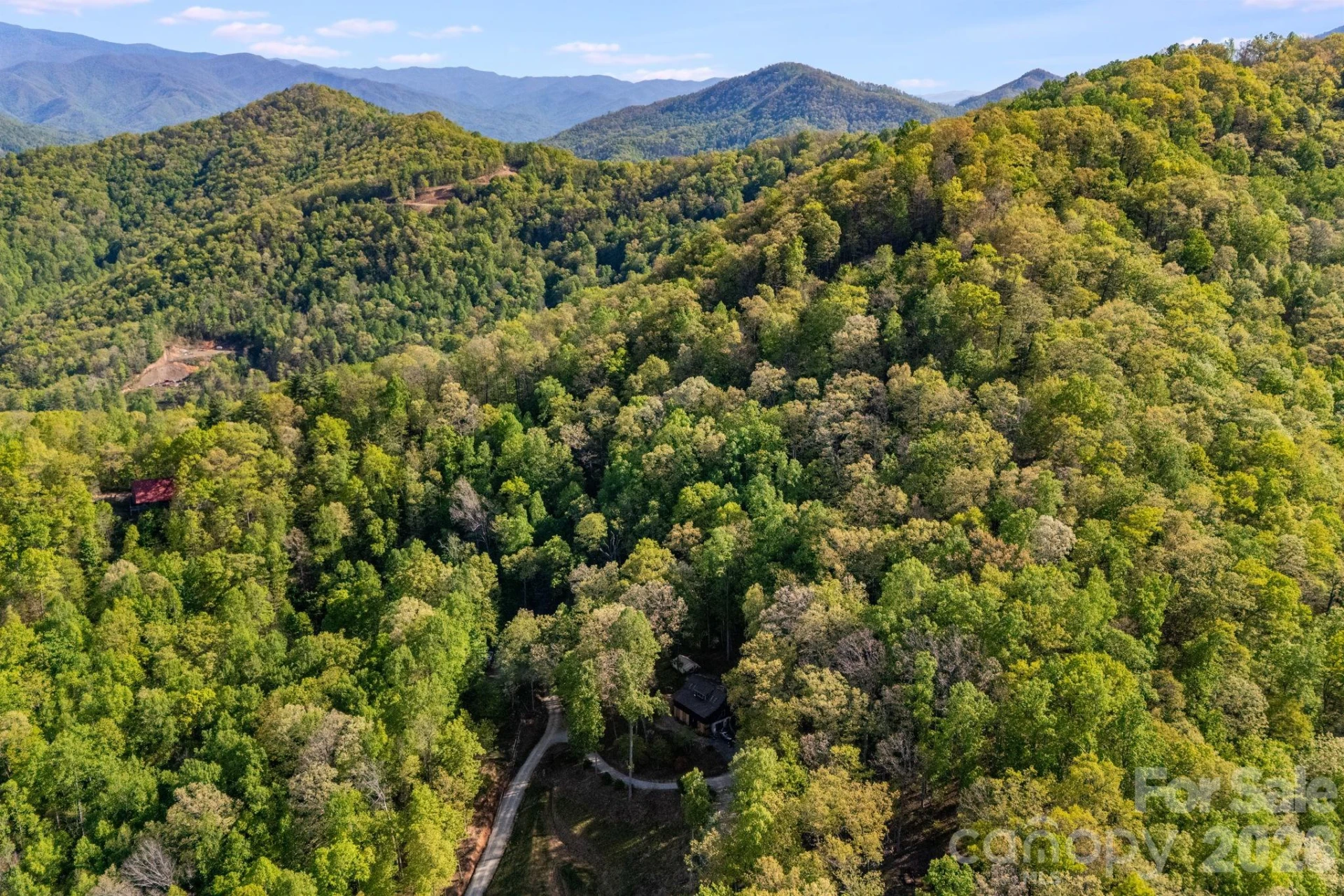 785 Laurel Spring Drive - Photo 10