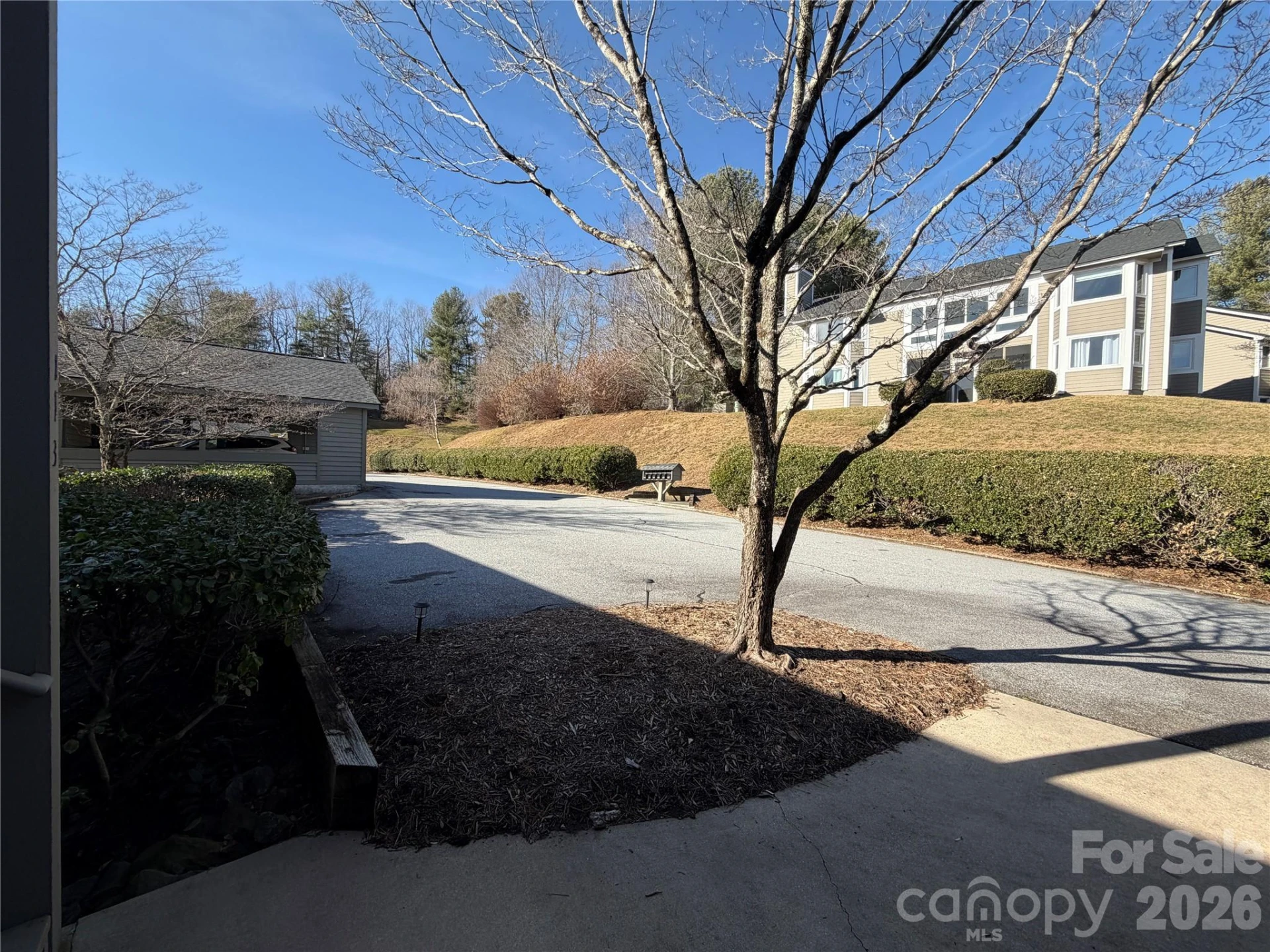111 Burning Tree Lane - Photo 25
