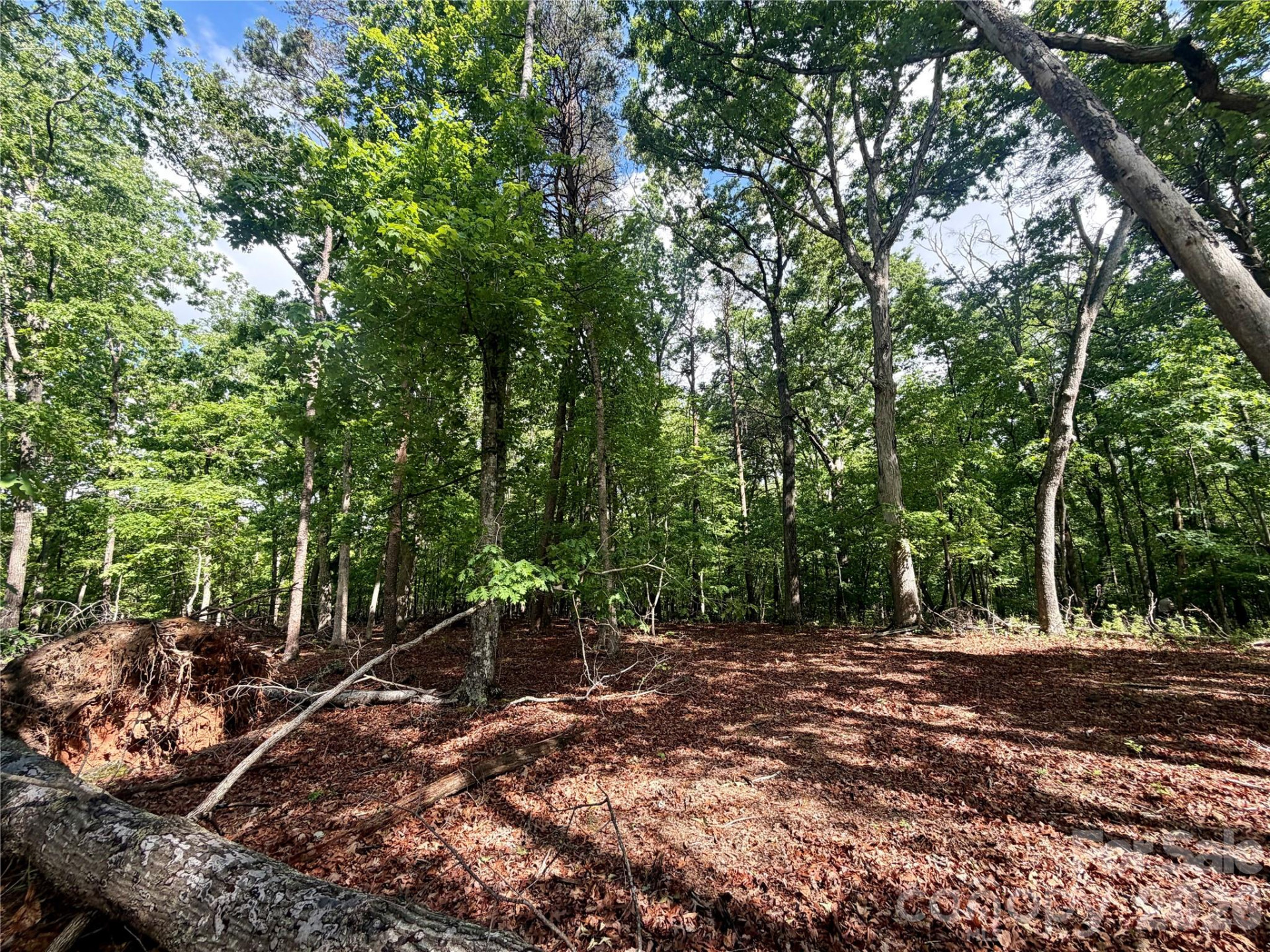 232 Chase Drive - Photo 22