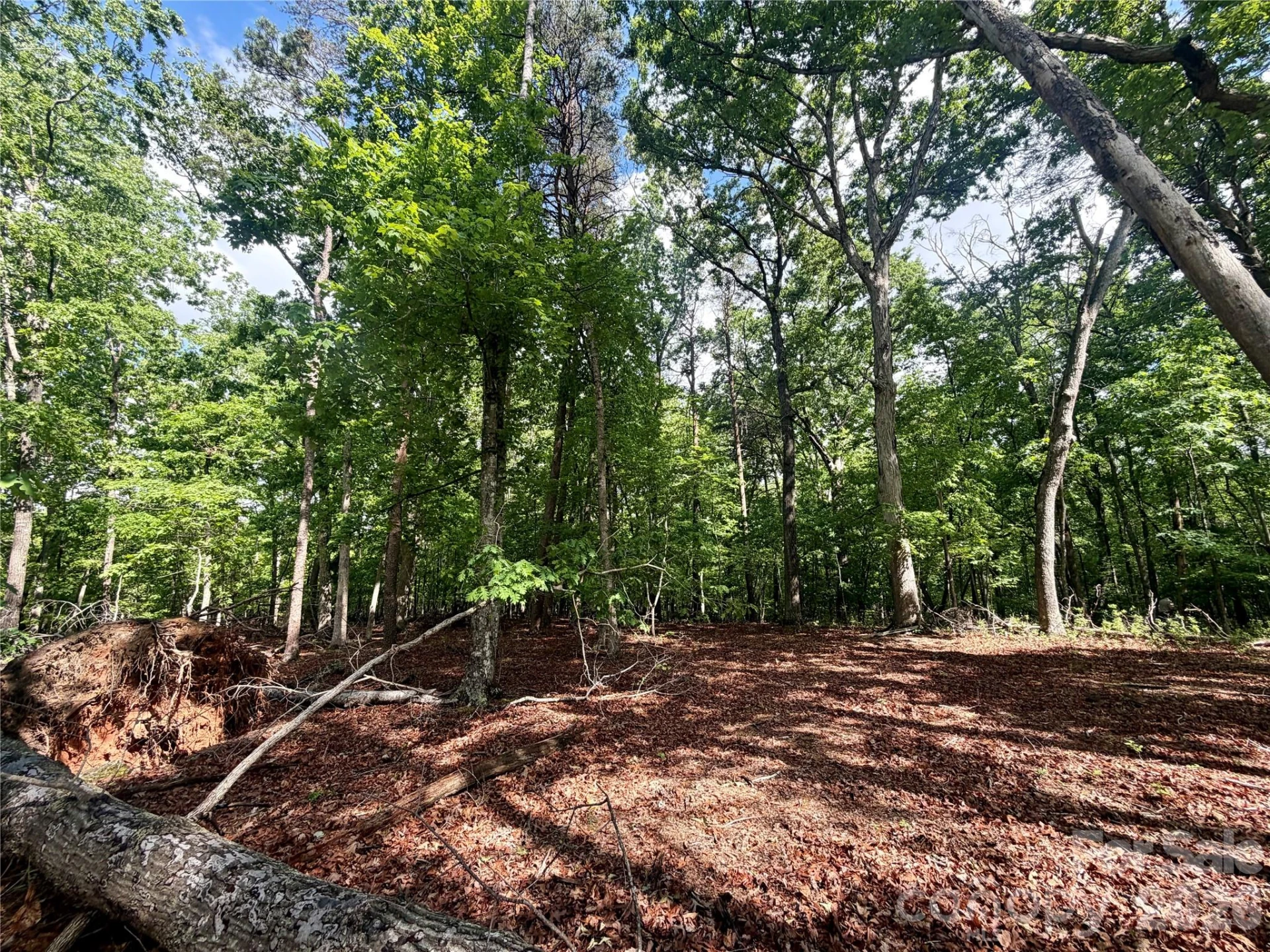 232 Chase Drive - Photo 23