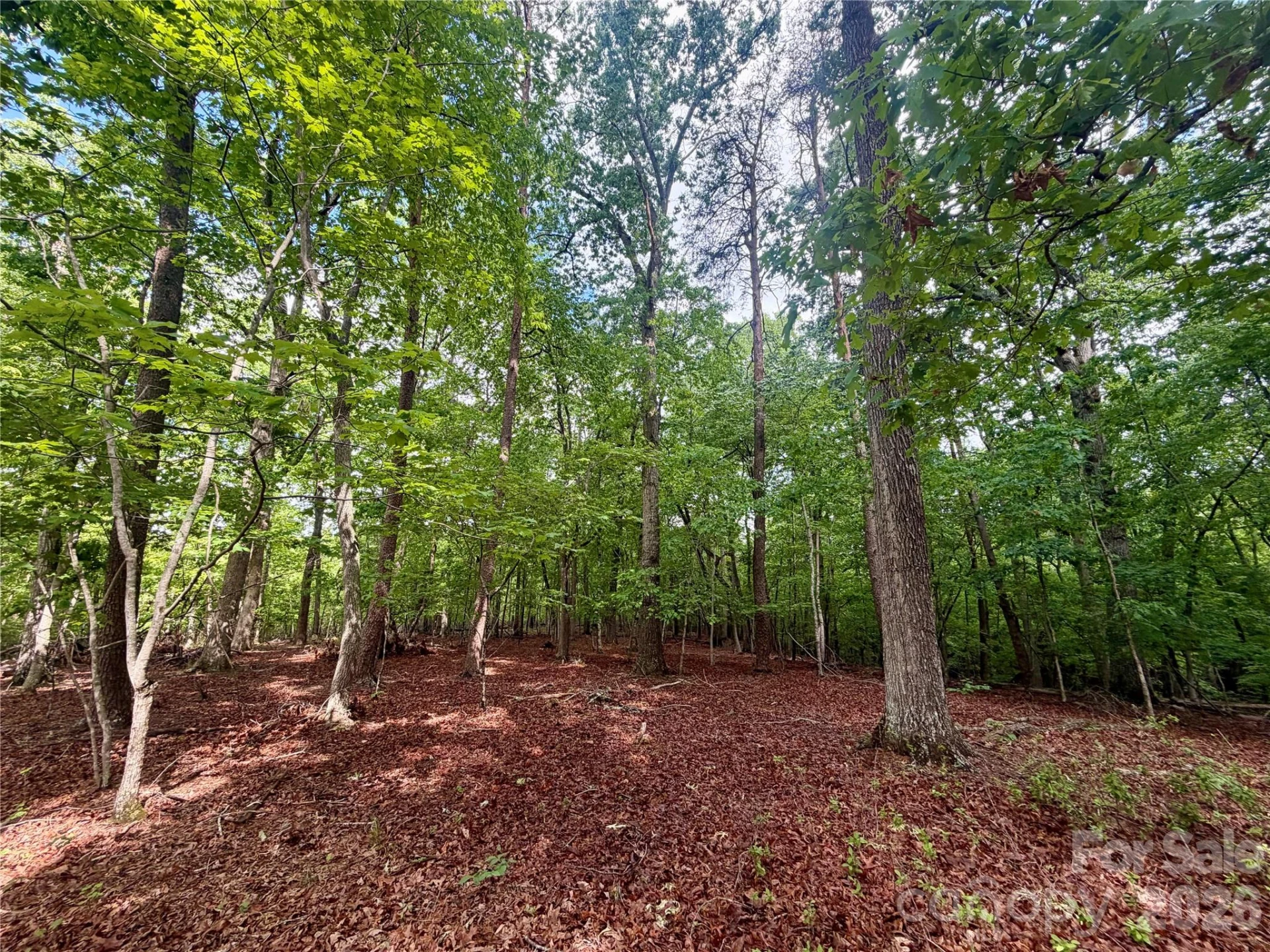 232 Chase Drive - Photo 25