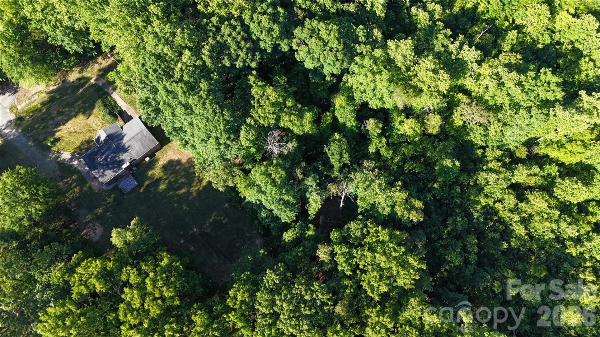 232 Chase Drive - Photo 27