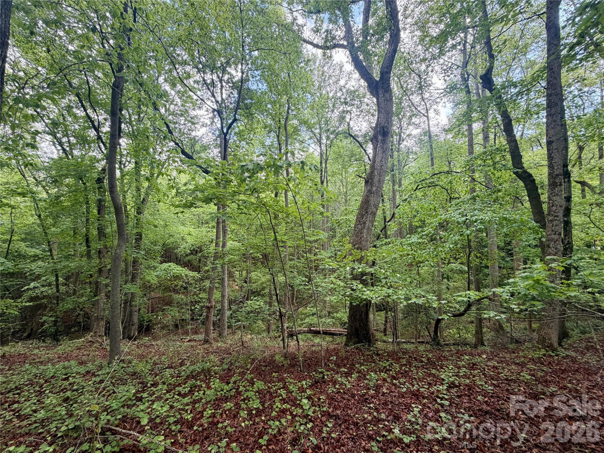 232 Chase Drive - Photo 6