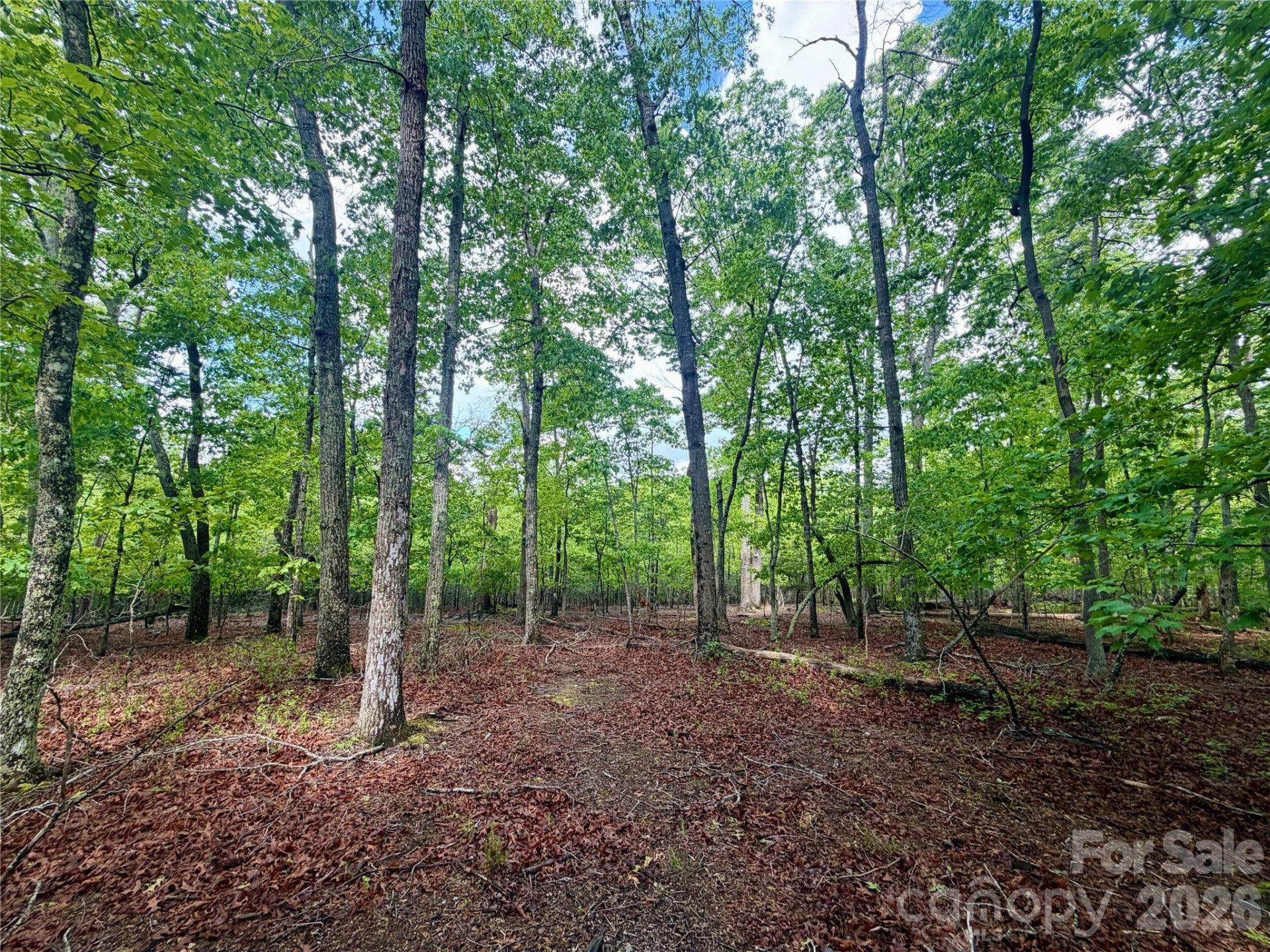 232 Chase Drive - Photo 7