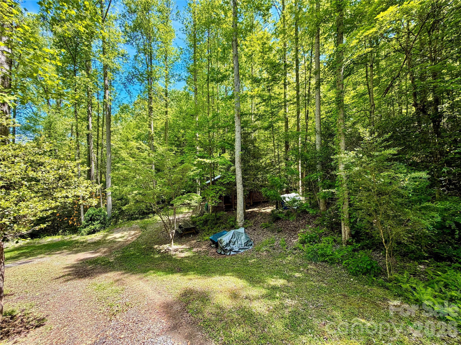 175 Cougar Lane - Photo 29