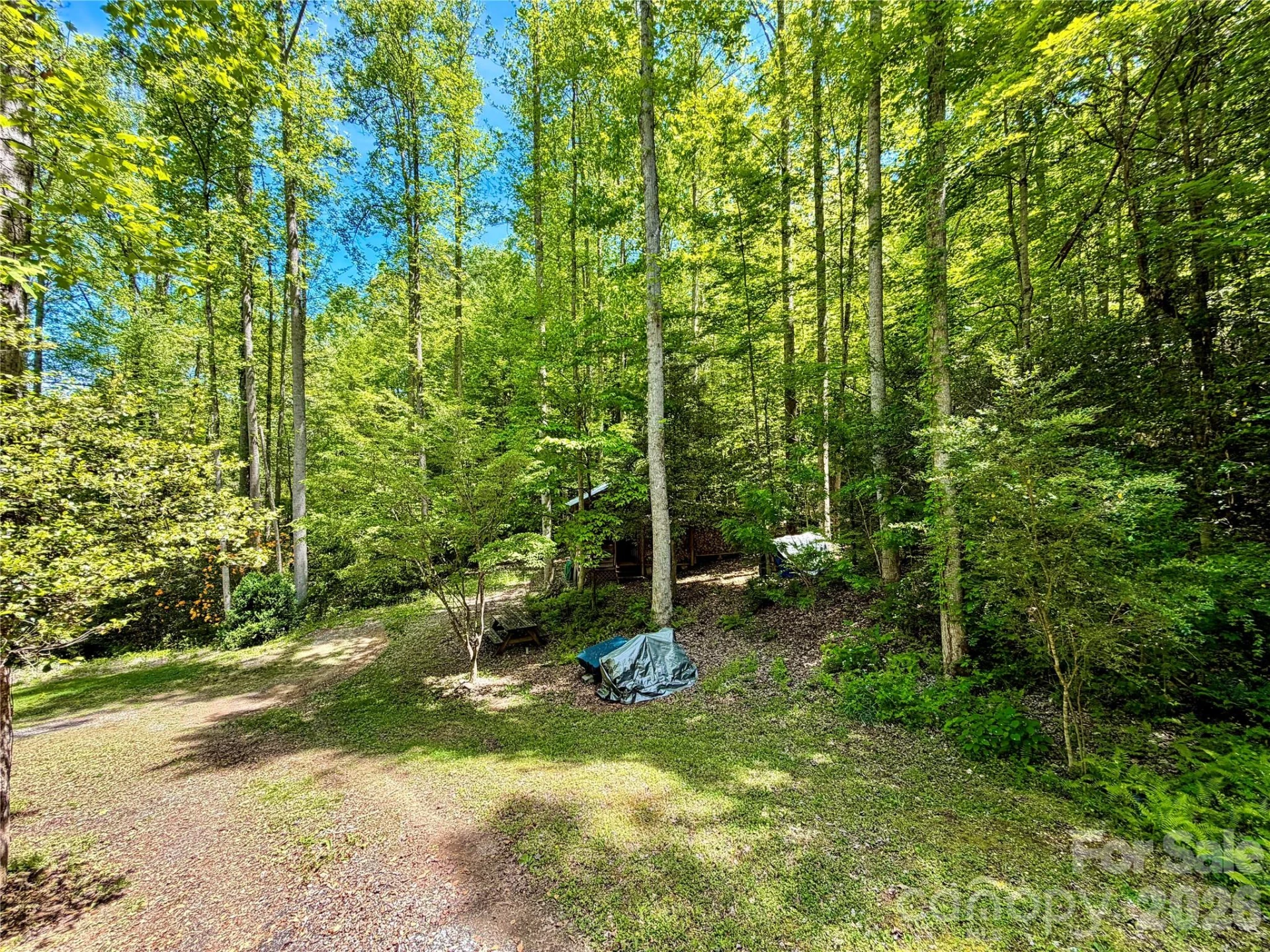 175 Cougar Lane - Photo 32