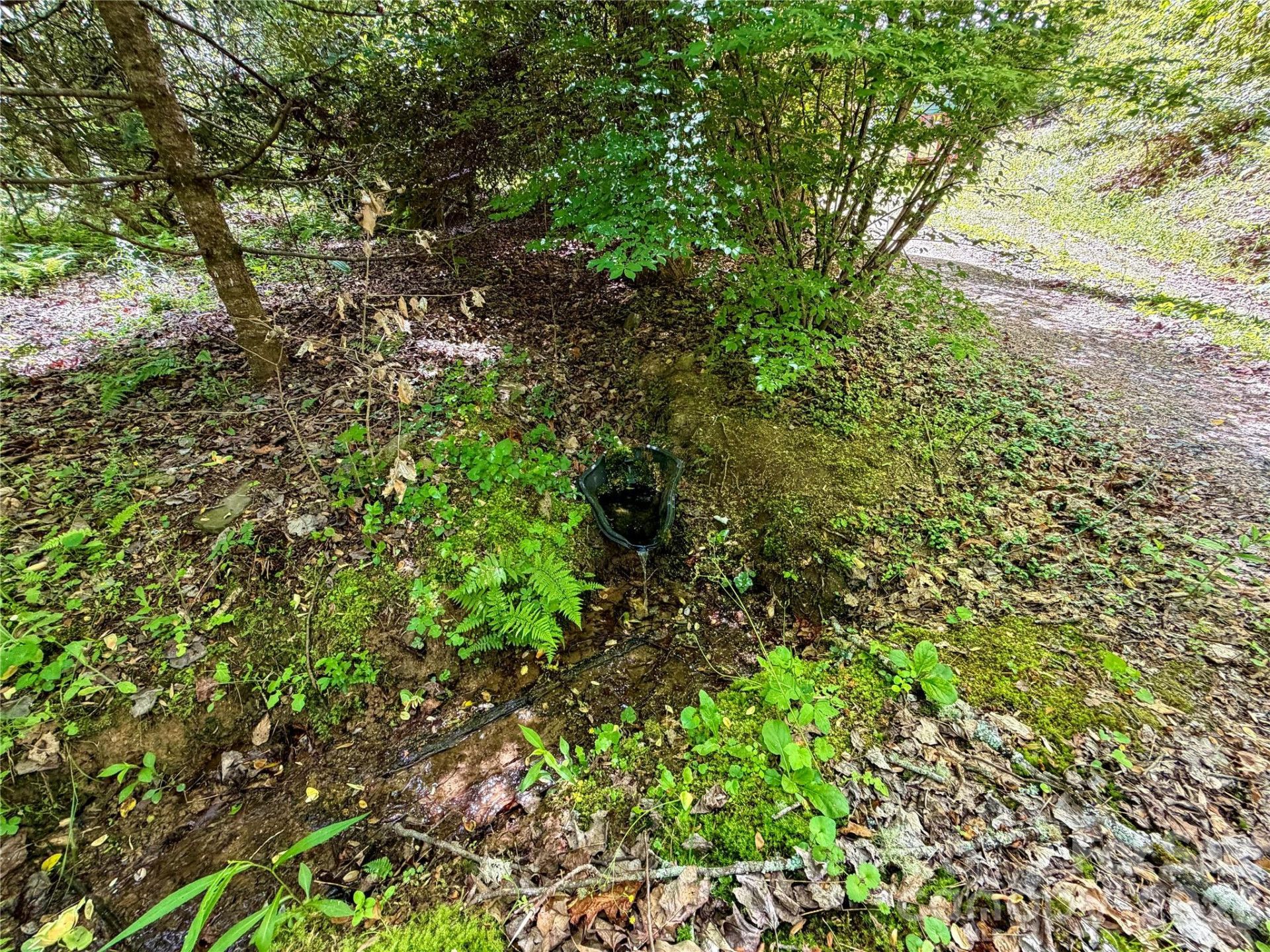 175 Cougar Lane - Photo 32