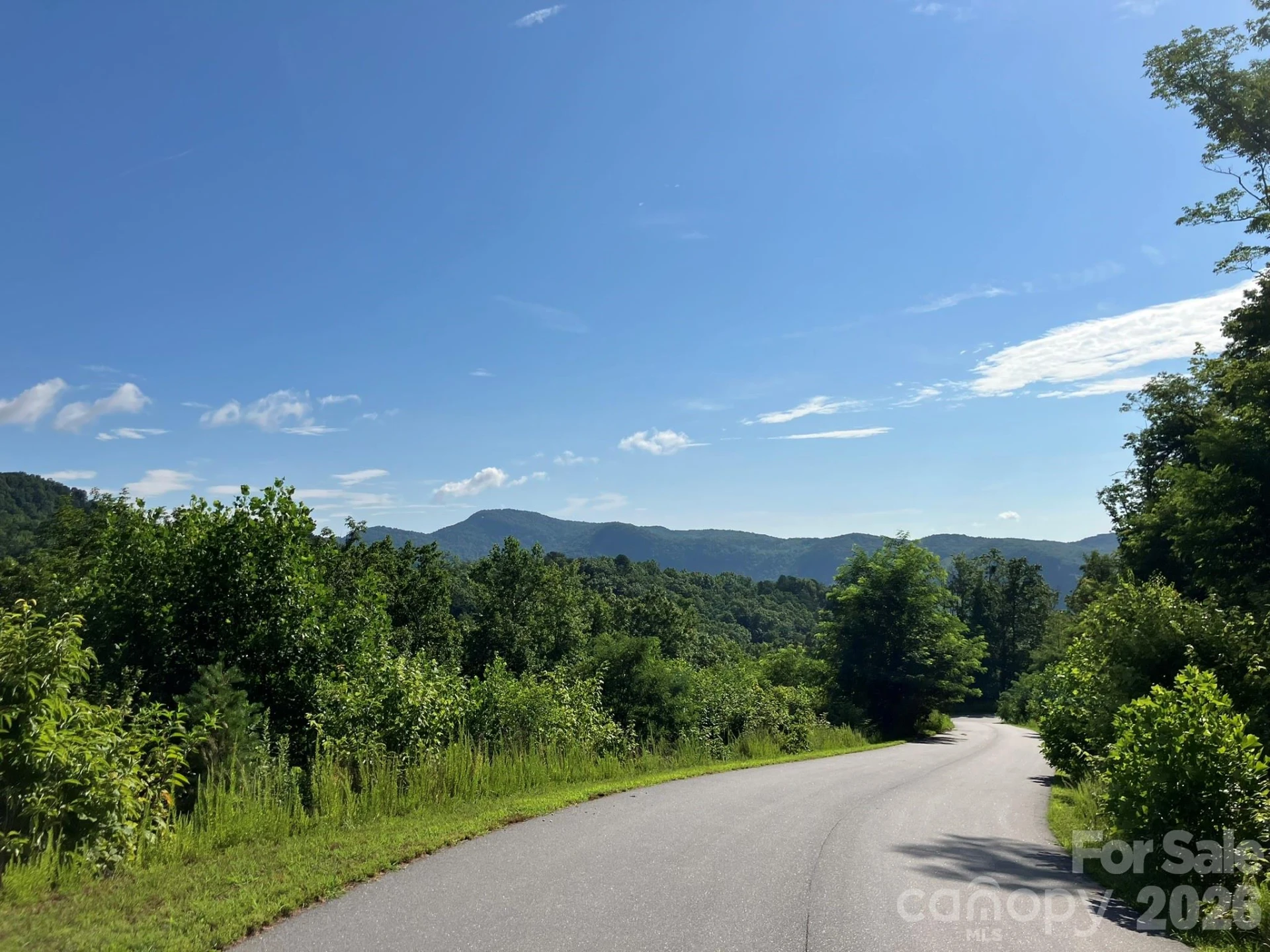 0 Grey Rock Parkway #250 - Photo 5