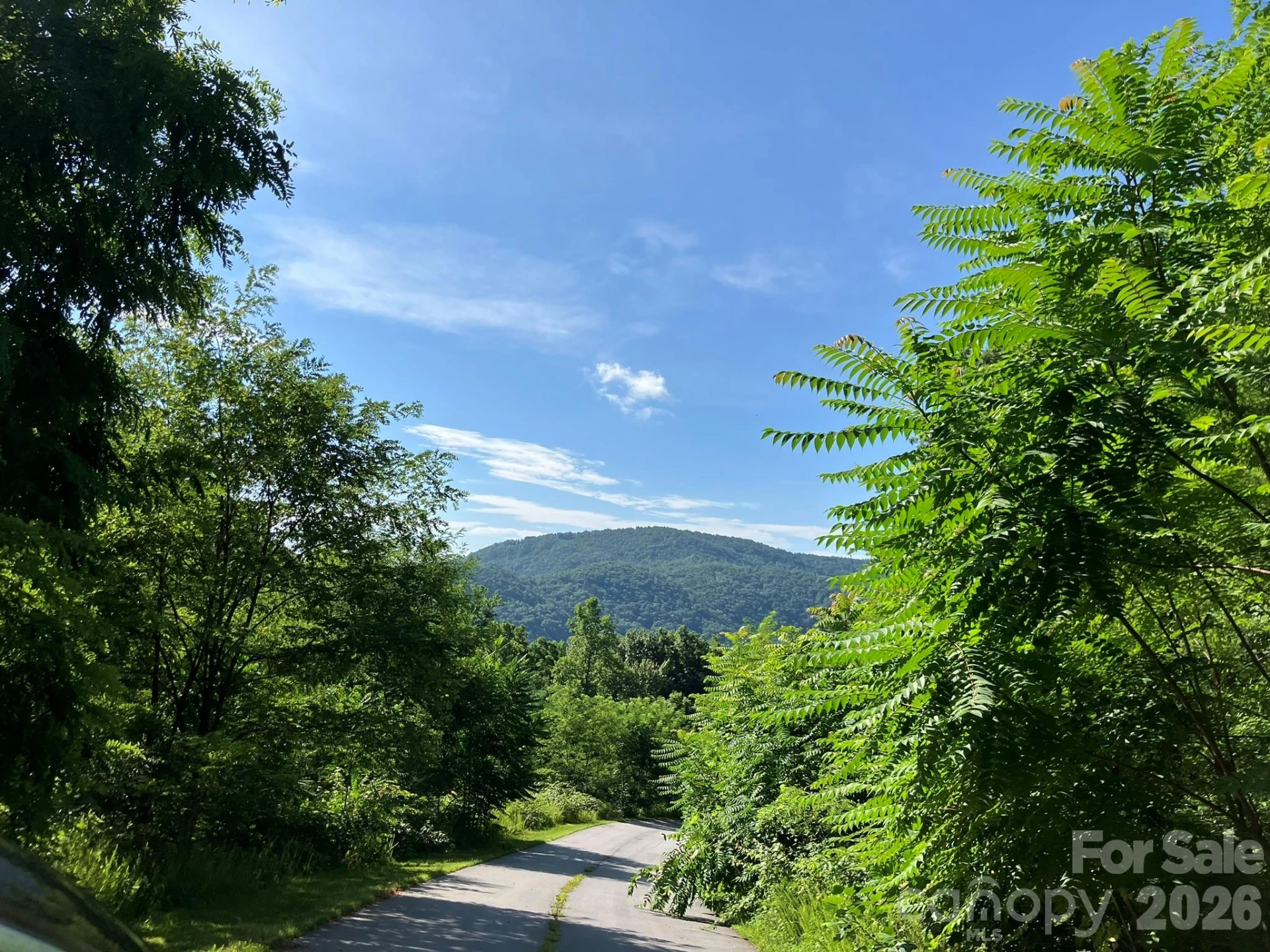 0 Grey Rock Parkway #250 - Photo 8