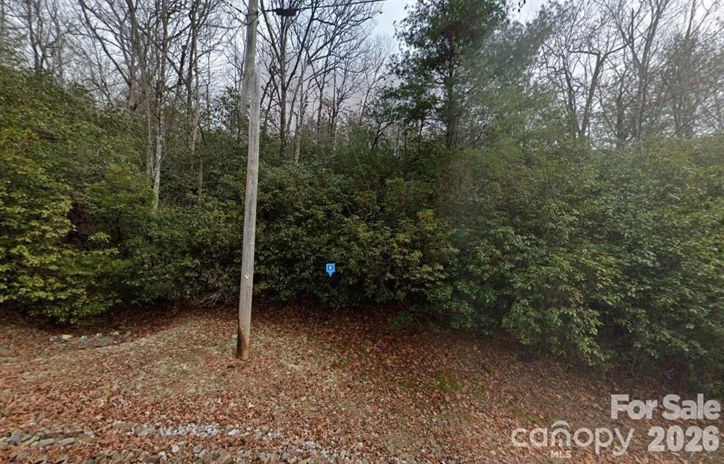 155 Laurel Mountain Road - Photo 2