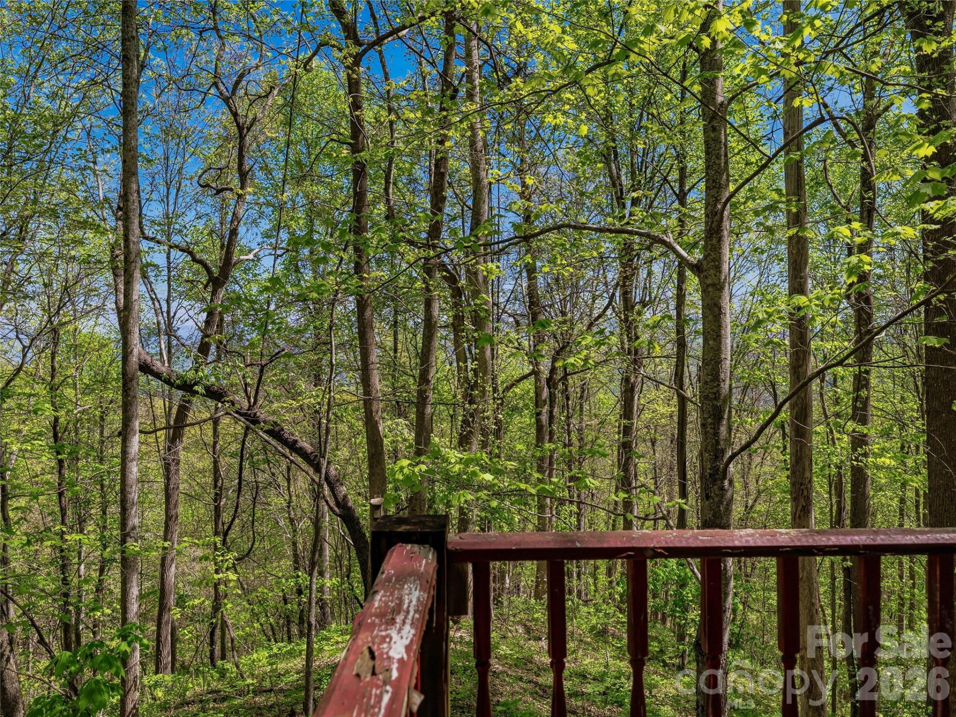 3167 Lumptown Road - Photo 19