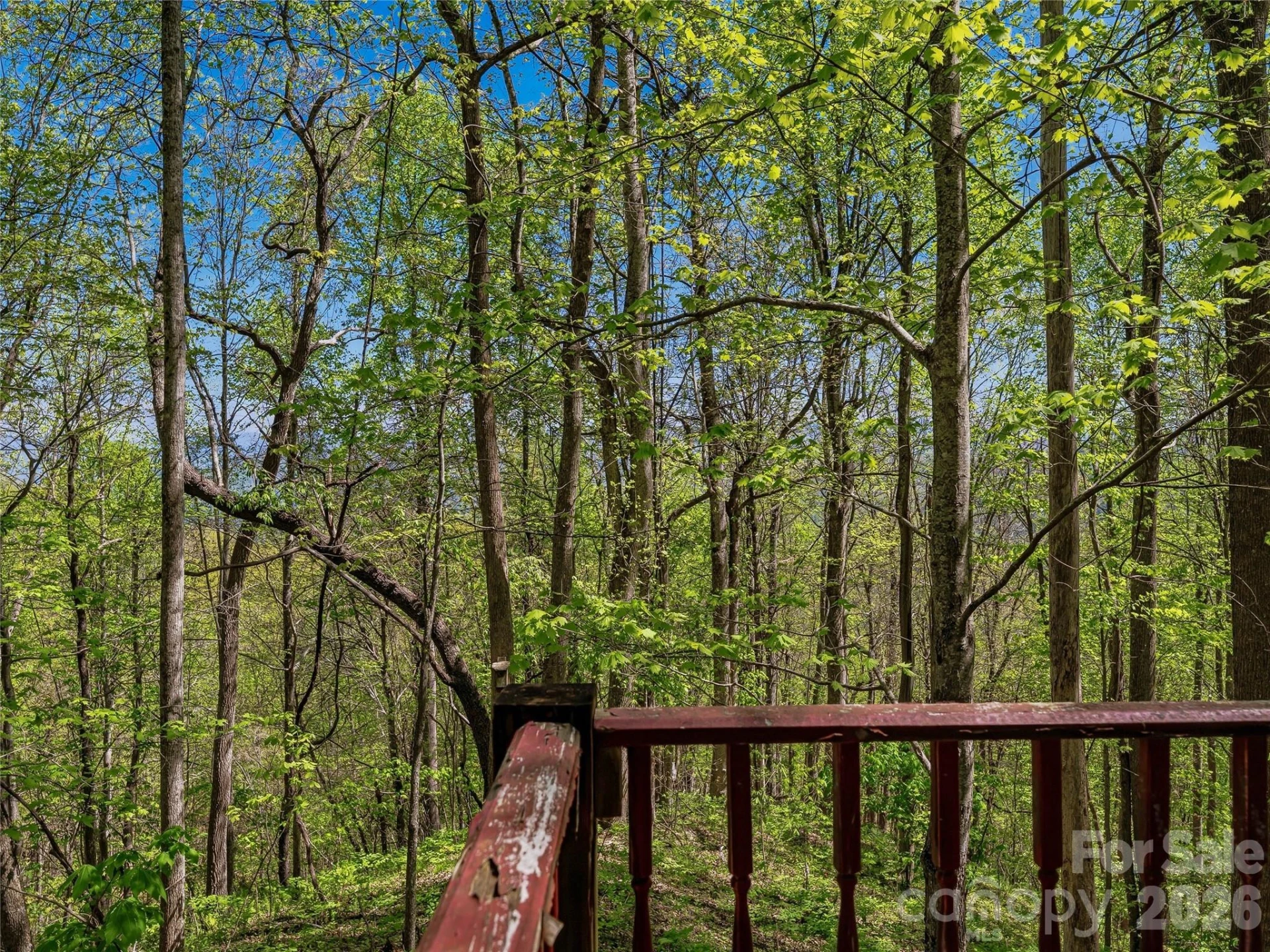3167 Lumptown Road - Photo 19