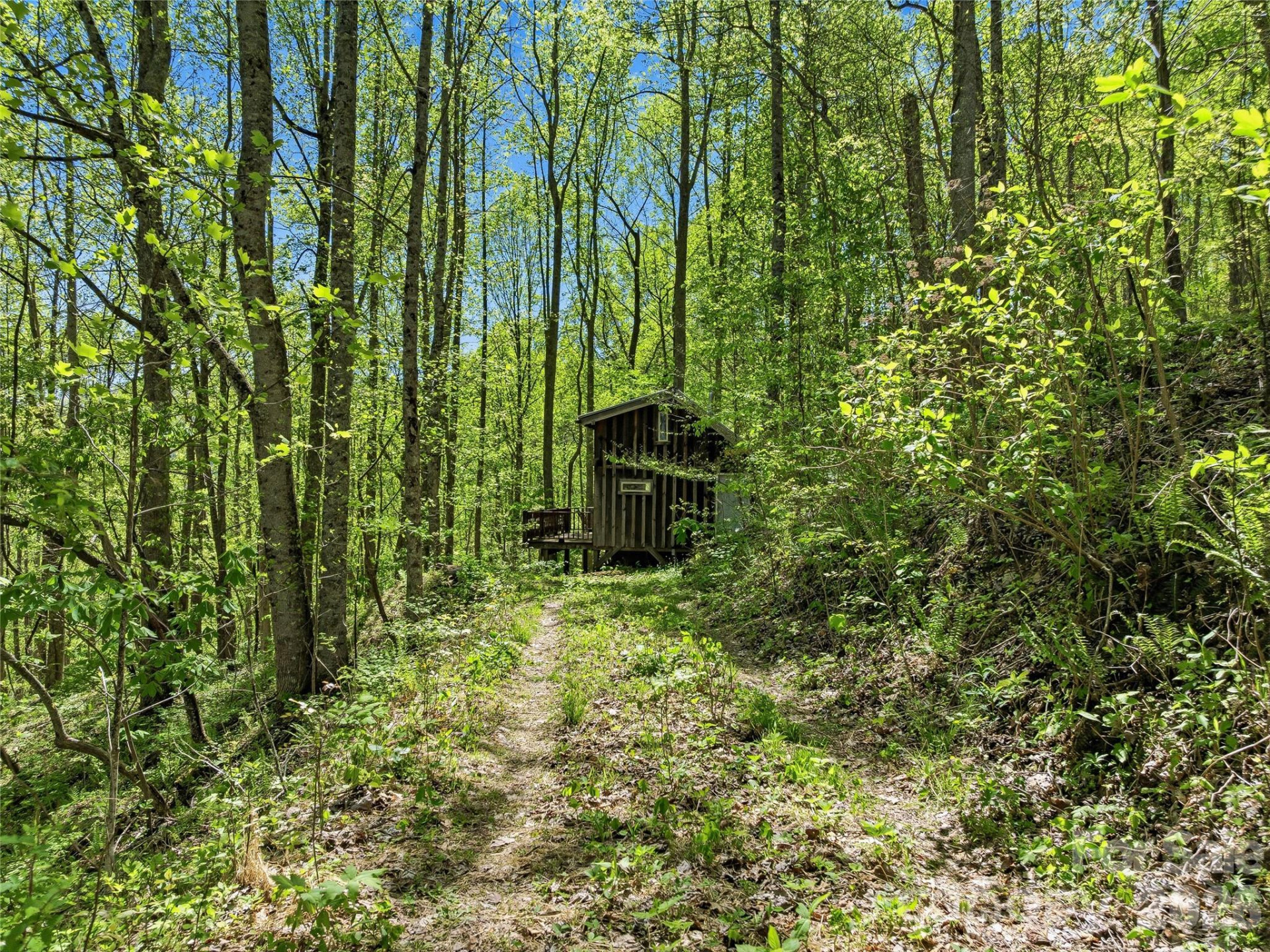 3167 Lumptown Road - Photo 3