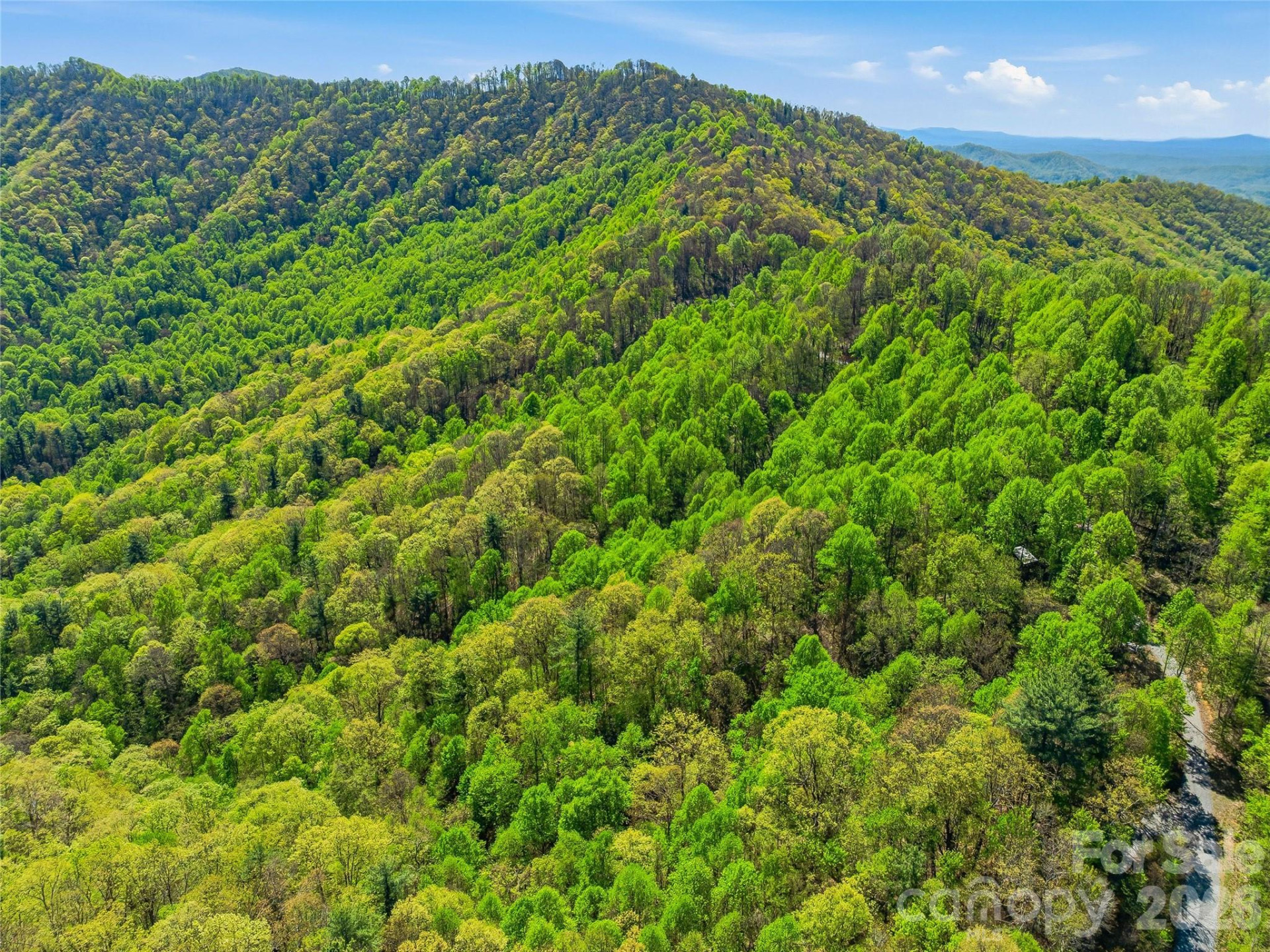 3167 Lumptown Road - Photo 22